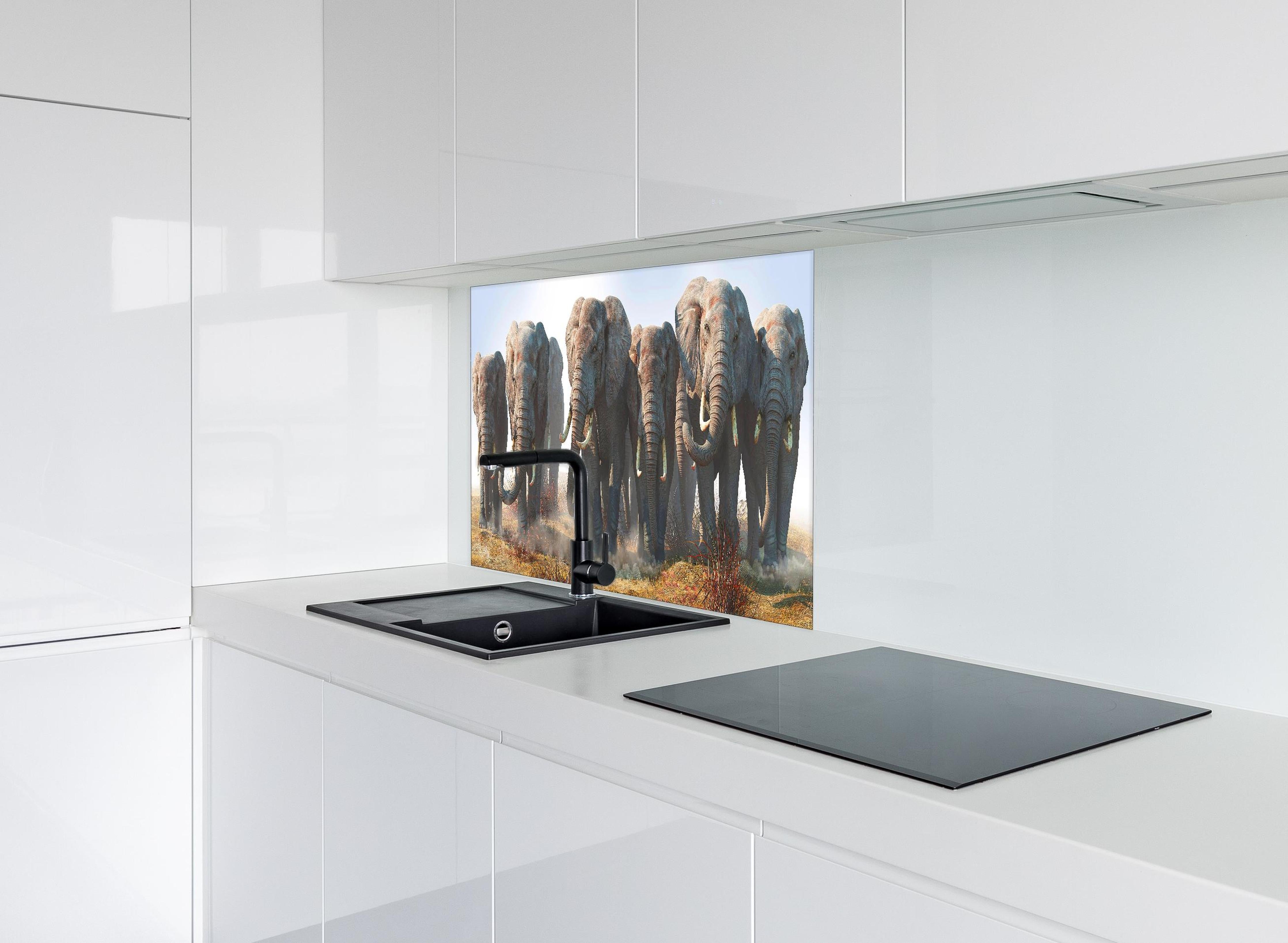 Spritzschutz - Elefantenherde in der Wüste hinter einem Cerankochfeld zwischen Holz-Kochutensilien
