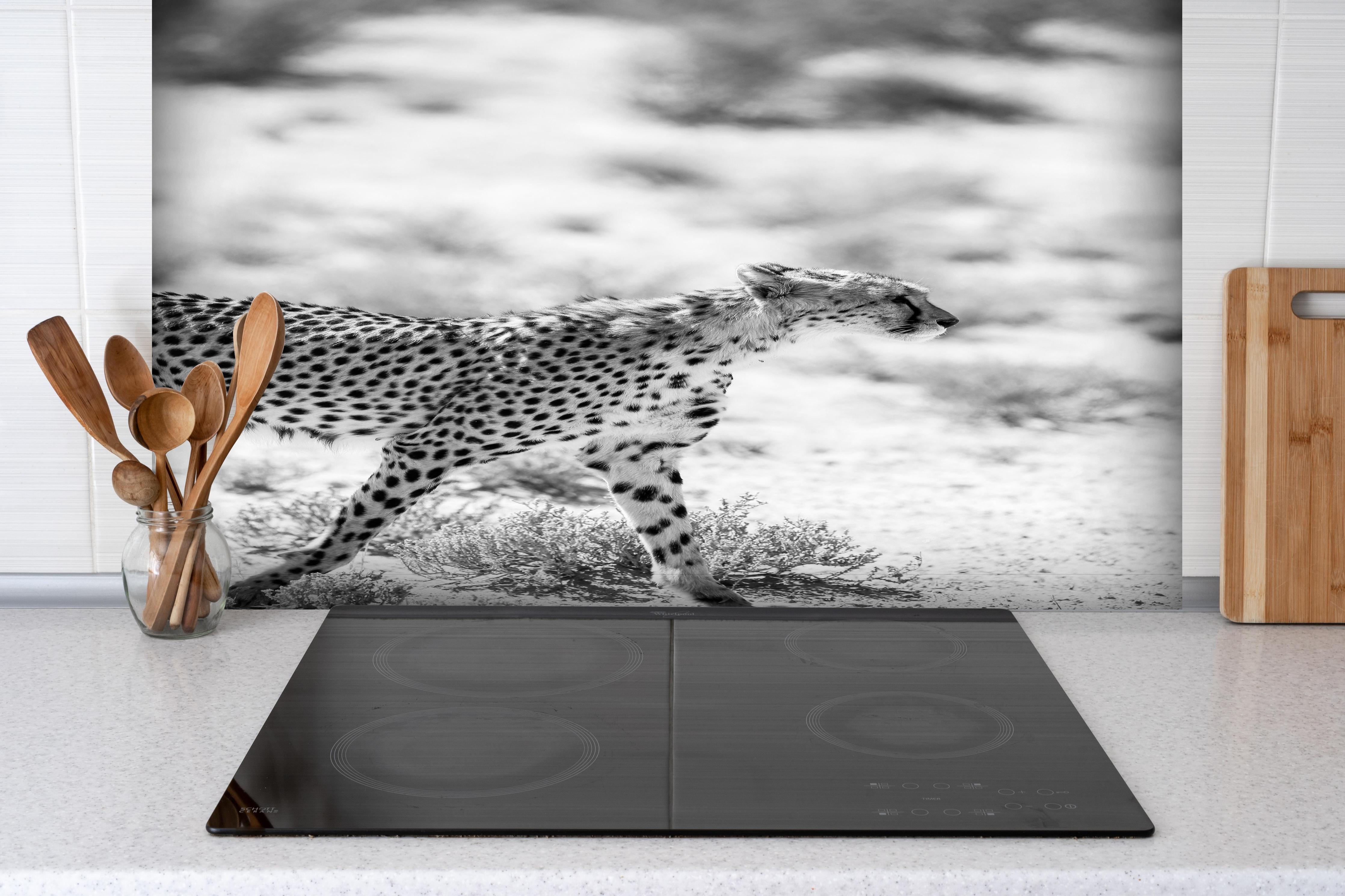 Spritzschutz - Eleganter Gepard in monochromer Darstellung hinter einem Cerankochfeld zwischen Holz-Kochutensilien
