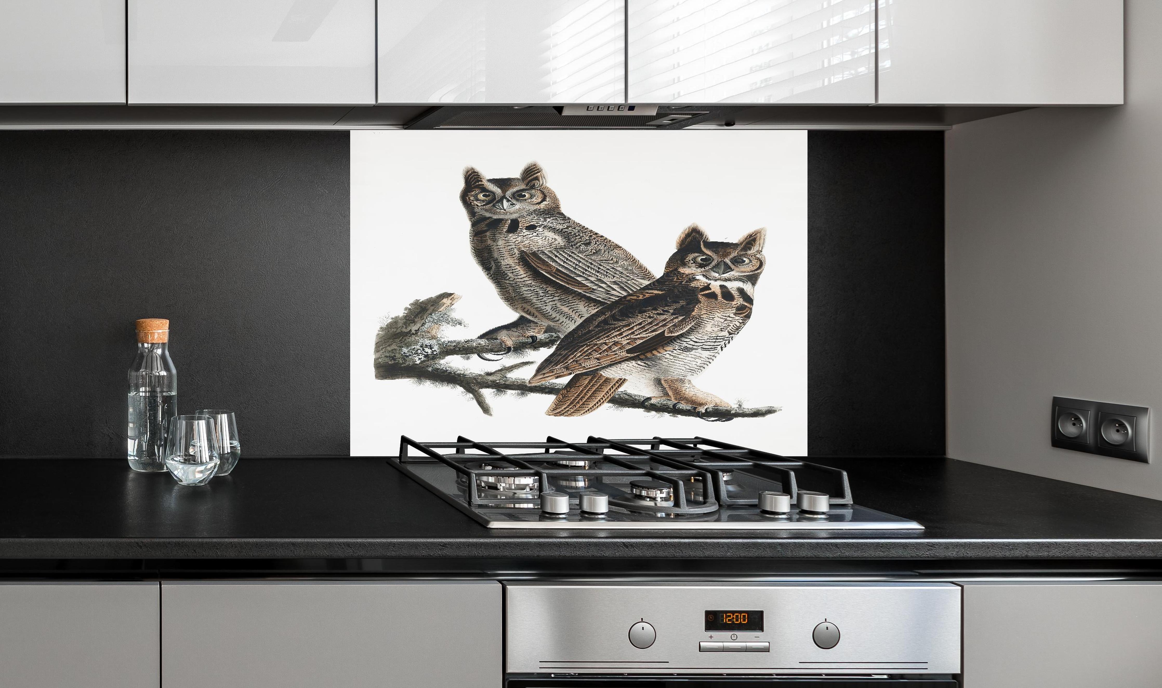 Spritzschutz - Eulen Portrait - Robert Havell hinter einem Cerankochfeld zwischen Holz-Kochutensilien
