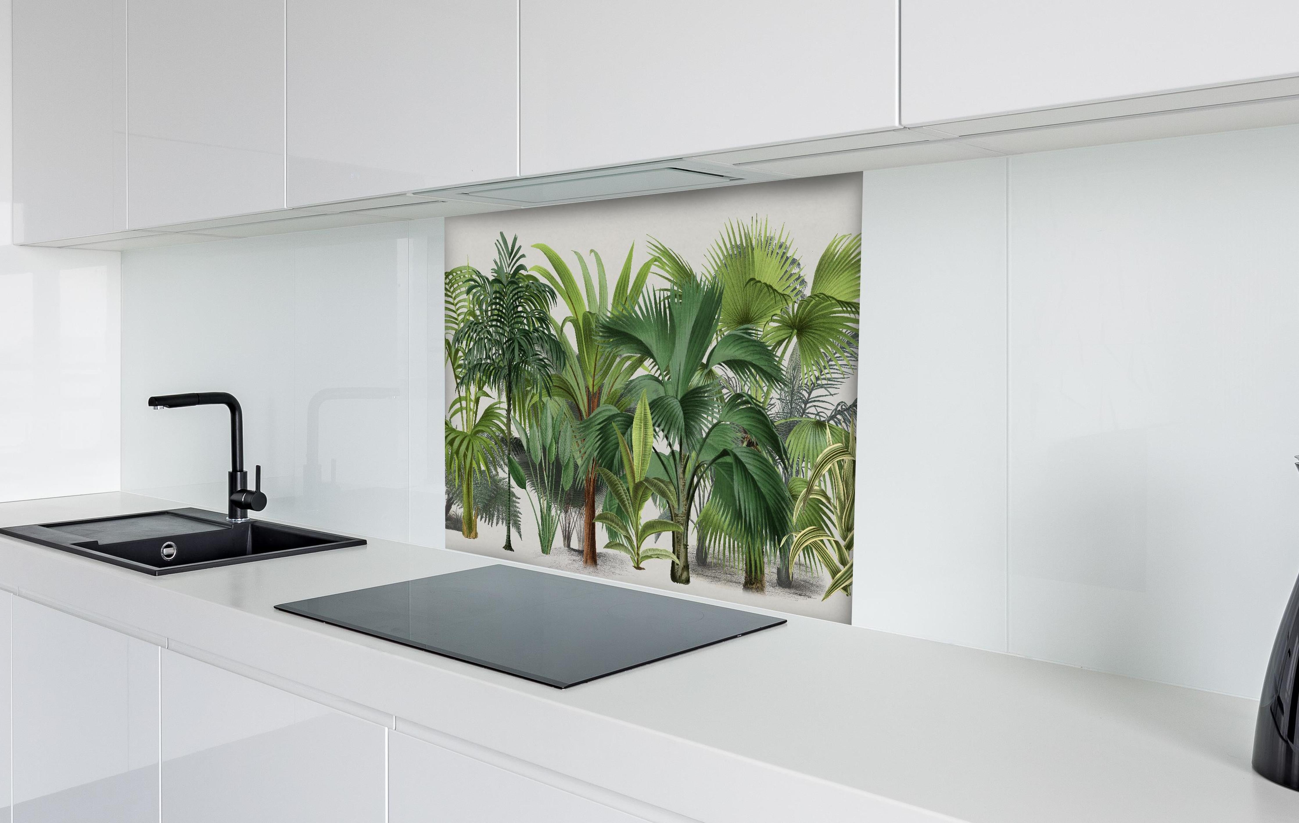 Spritzschutz - Exotische Bäume hinter einem Cerankochfeld zwischen Holz-Kochutensilien
