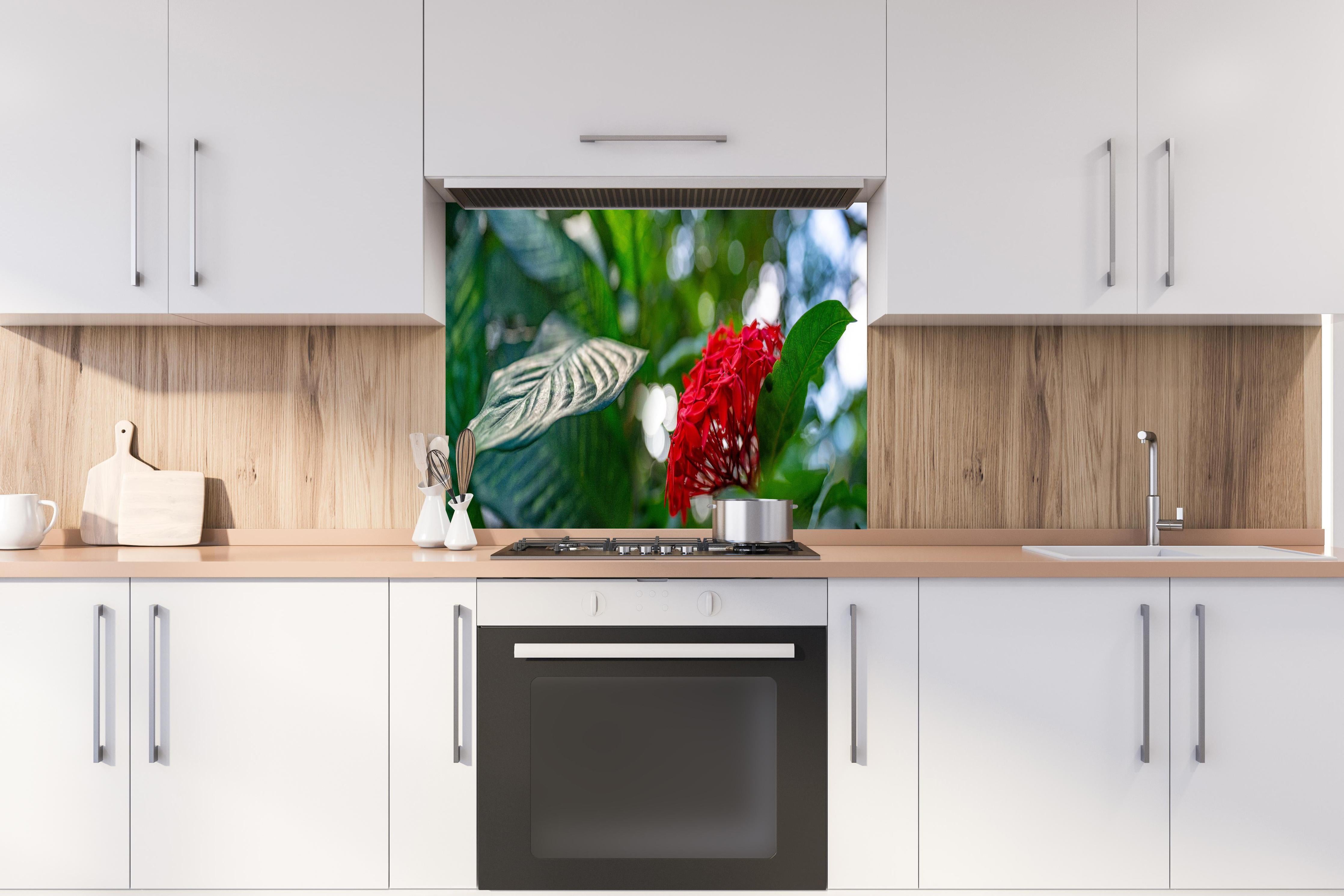 Spritzschutz - Exotische Blume und Blätter im Gewächshaus hinter einem Cerankochfeld zwischen Holz-Kochutensilien
