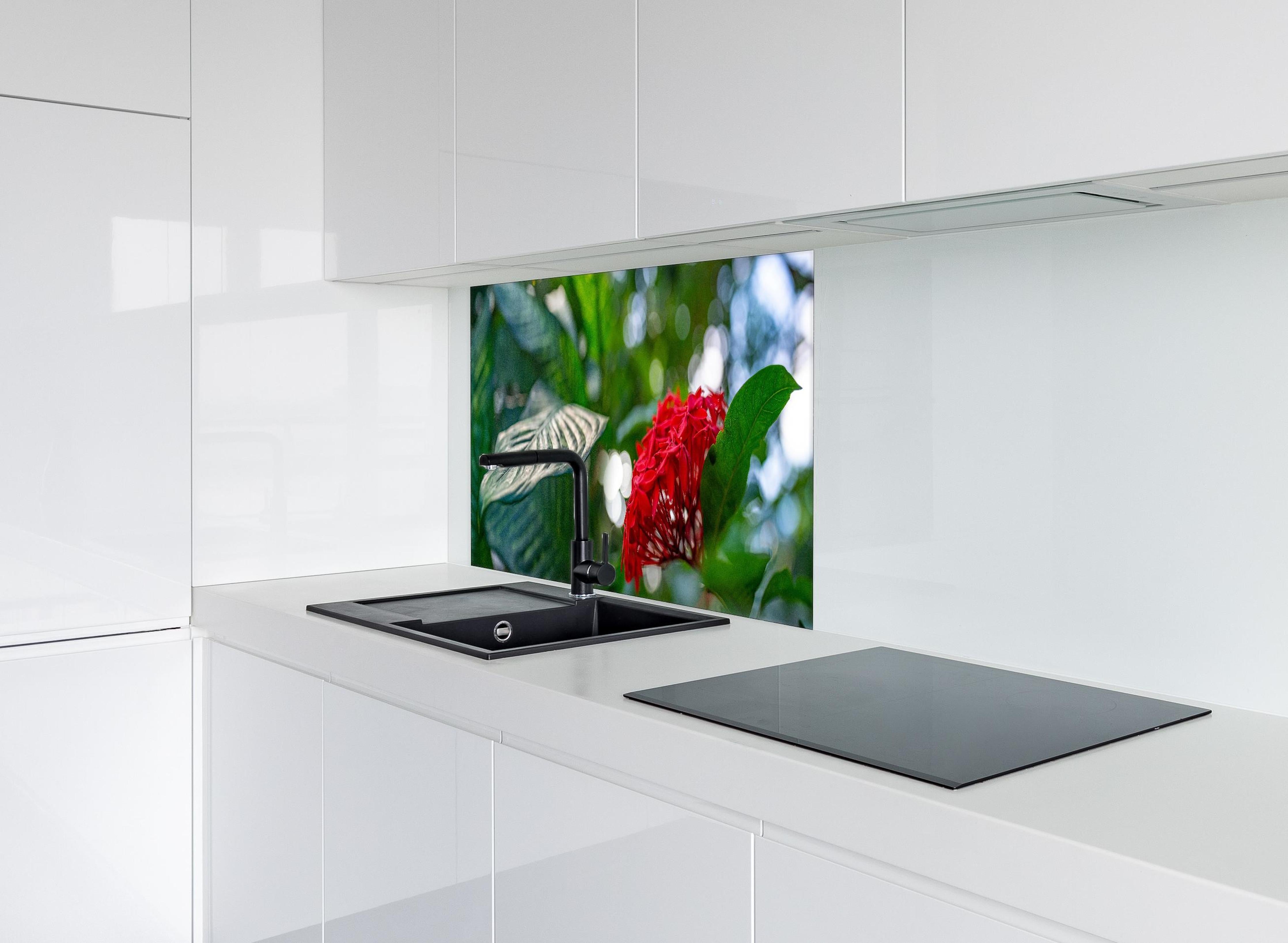 Spritzschutz - Exotische Blume und Blätter im Gewächshaus hinter einem Cerankochfeld zwischen Holz-Kochutensilien
