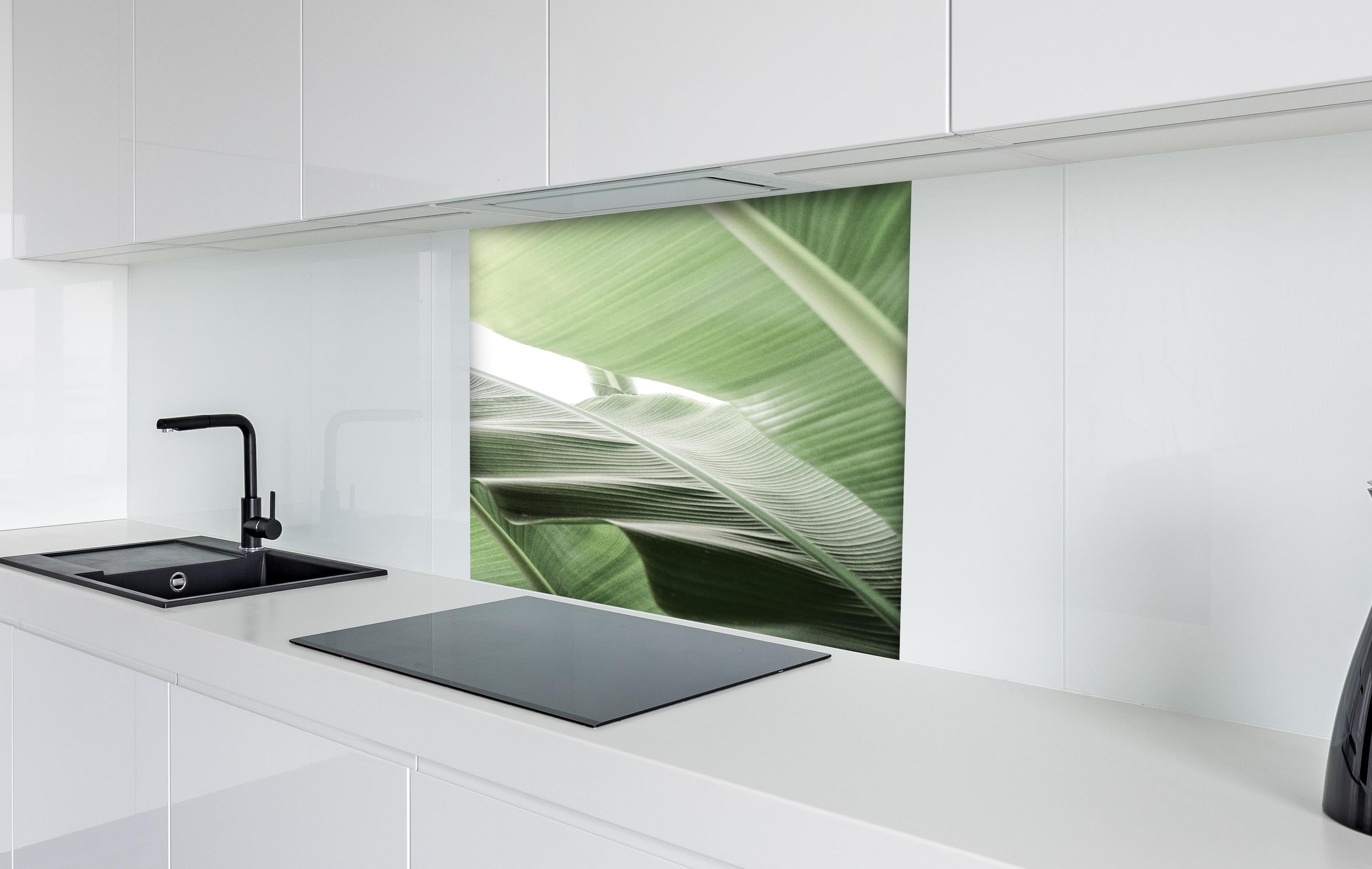 Spritzschutz - Exotische Grüne Palmenblatt-Textur Makro hinter einem Cerankochfeld zwischen Holz-Kochutensilien
