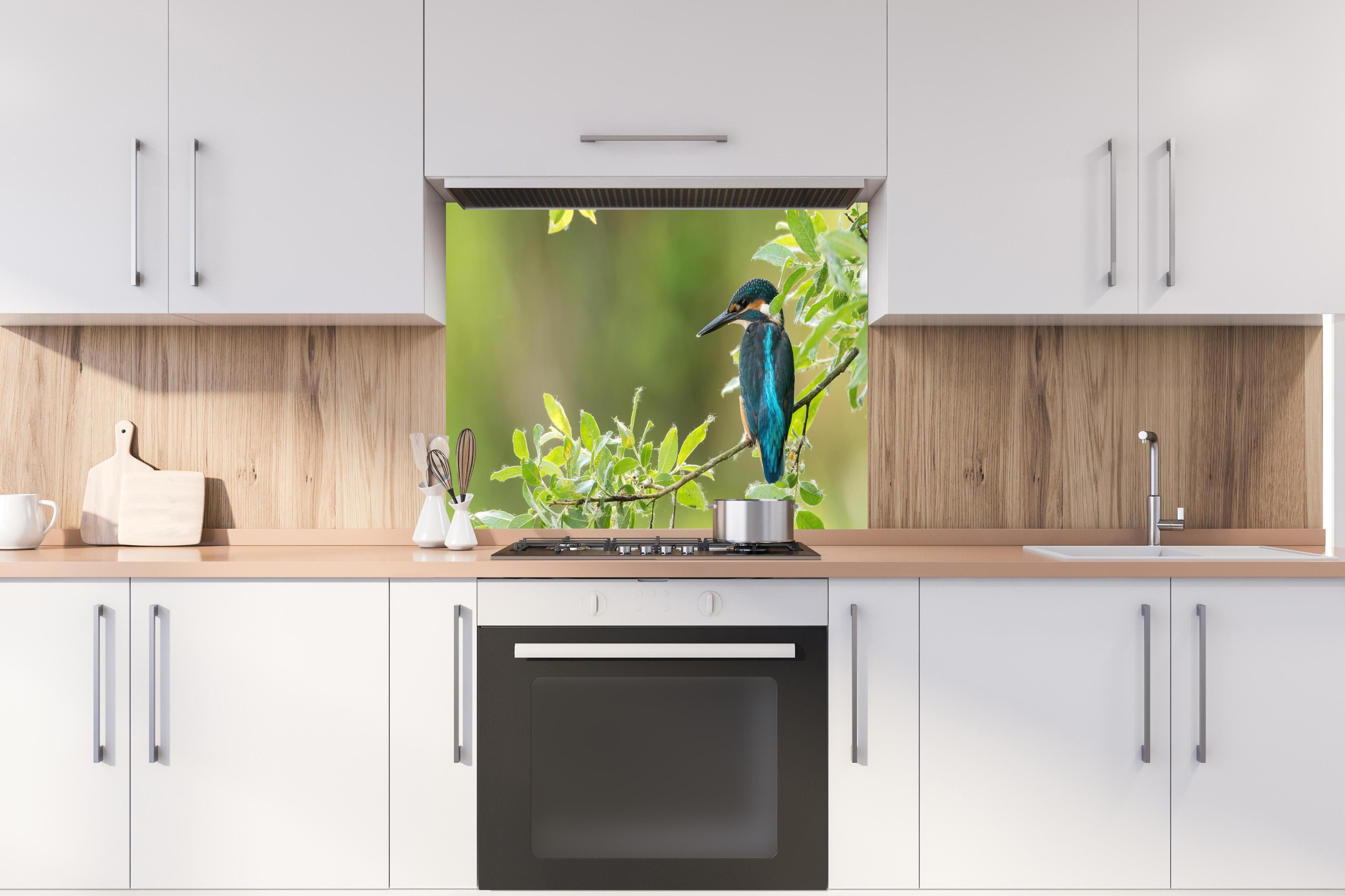 Spritzschutz - Exotischer friedlicher Eisvogel hinter einem Cerankochfeld zwischen Holz-Kochutensilien
