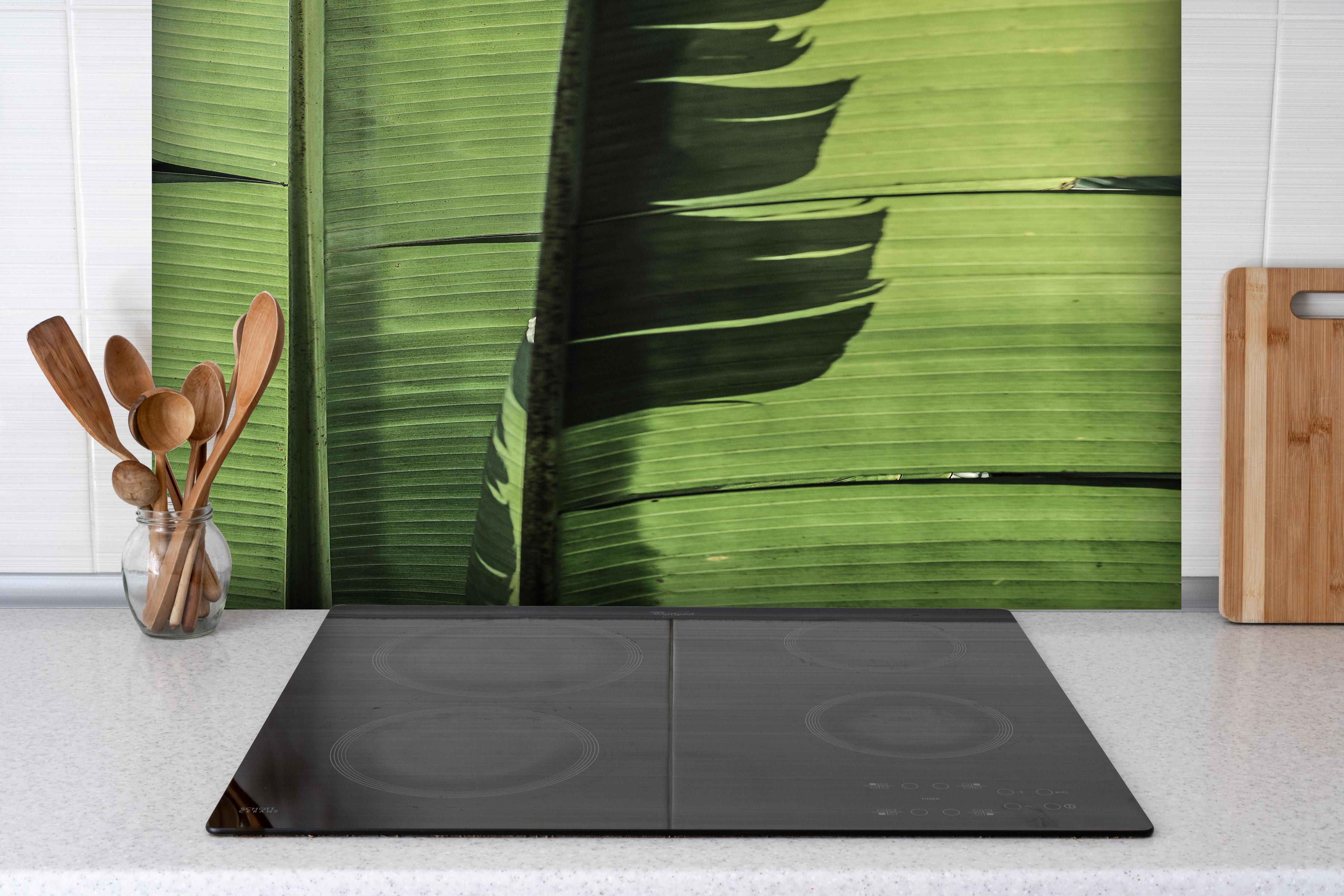 Spritzschutz - Exotisches grünes Palmenblatt-Design hinter einem Cerankochfeld zwischen Holz-Kochutensilien
