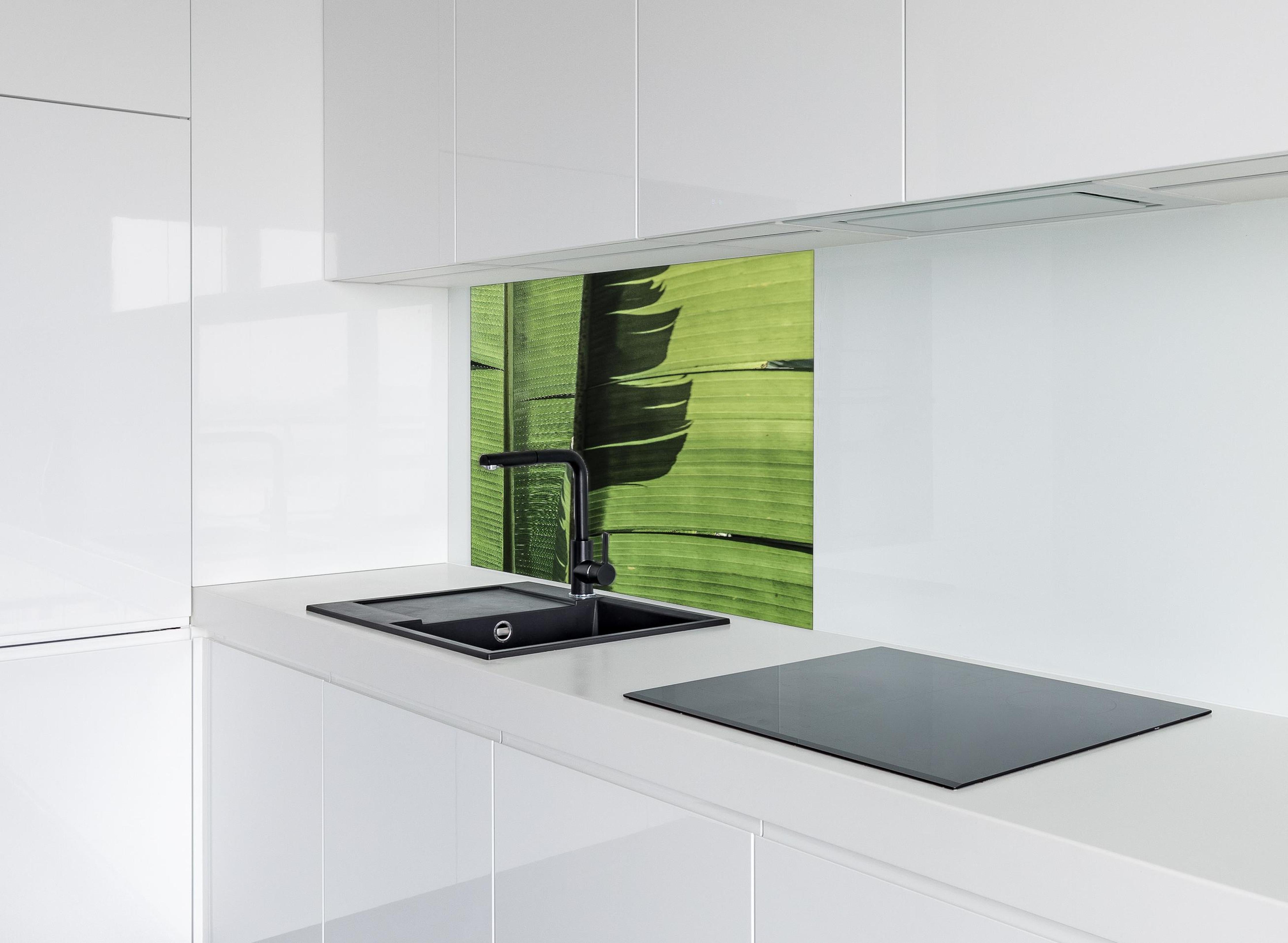 Spritzschutz - Exotisches grünes Palmenblatt-Design hinter einem Cerankochfeld zwischen Holz-Kochutensilien
