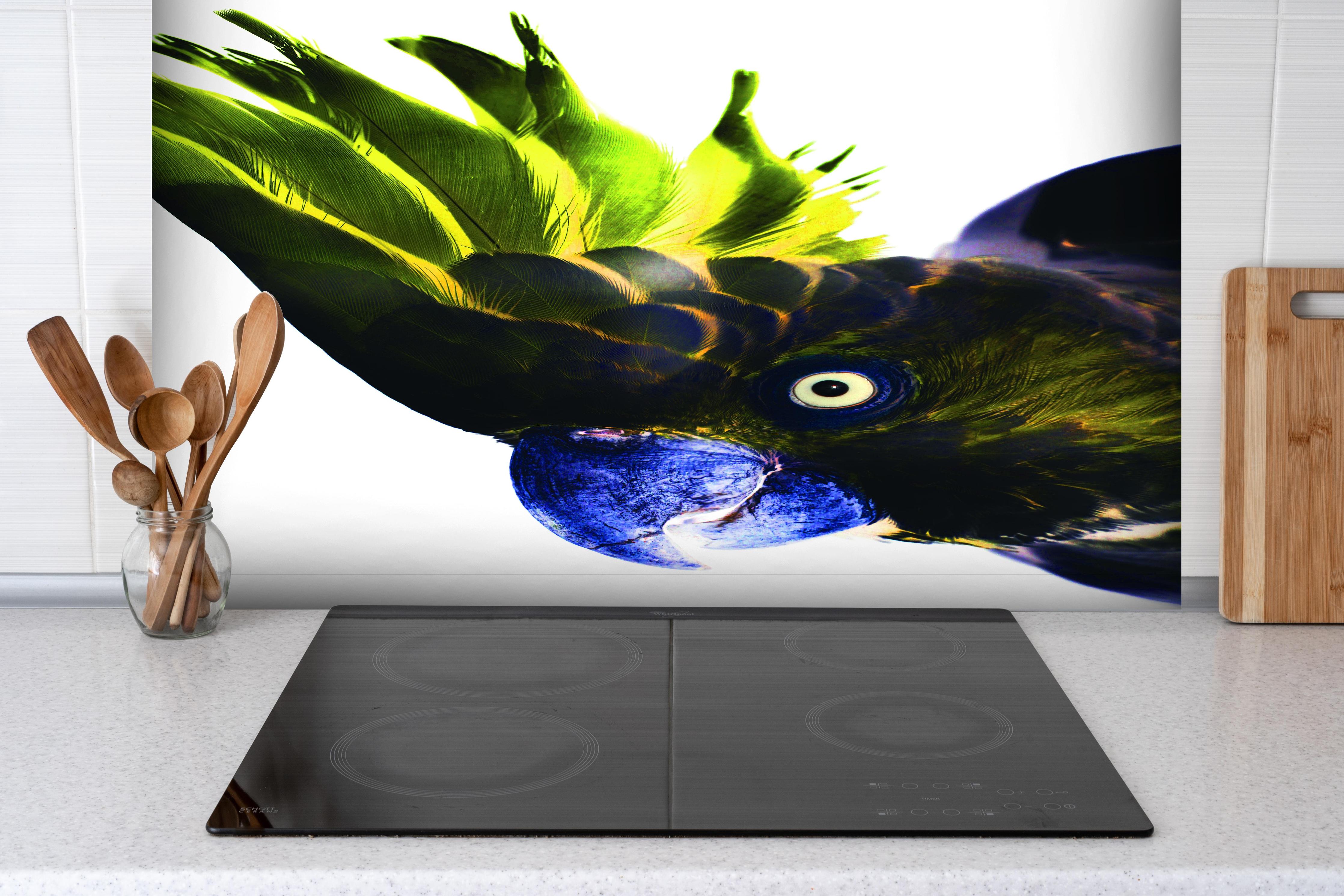 Spritzschutz - Farbenprächtiger Papagei vor Weiß hinter einem Cerankochfeld zwischen Holz-Kochutensilien
