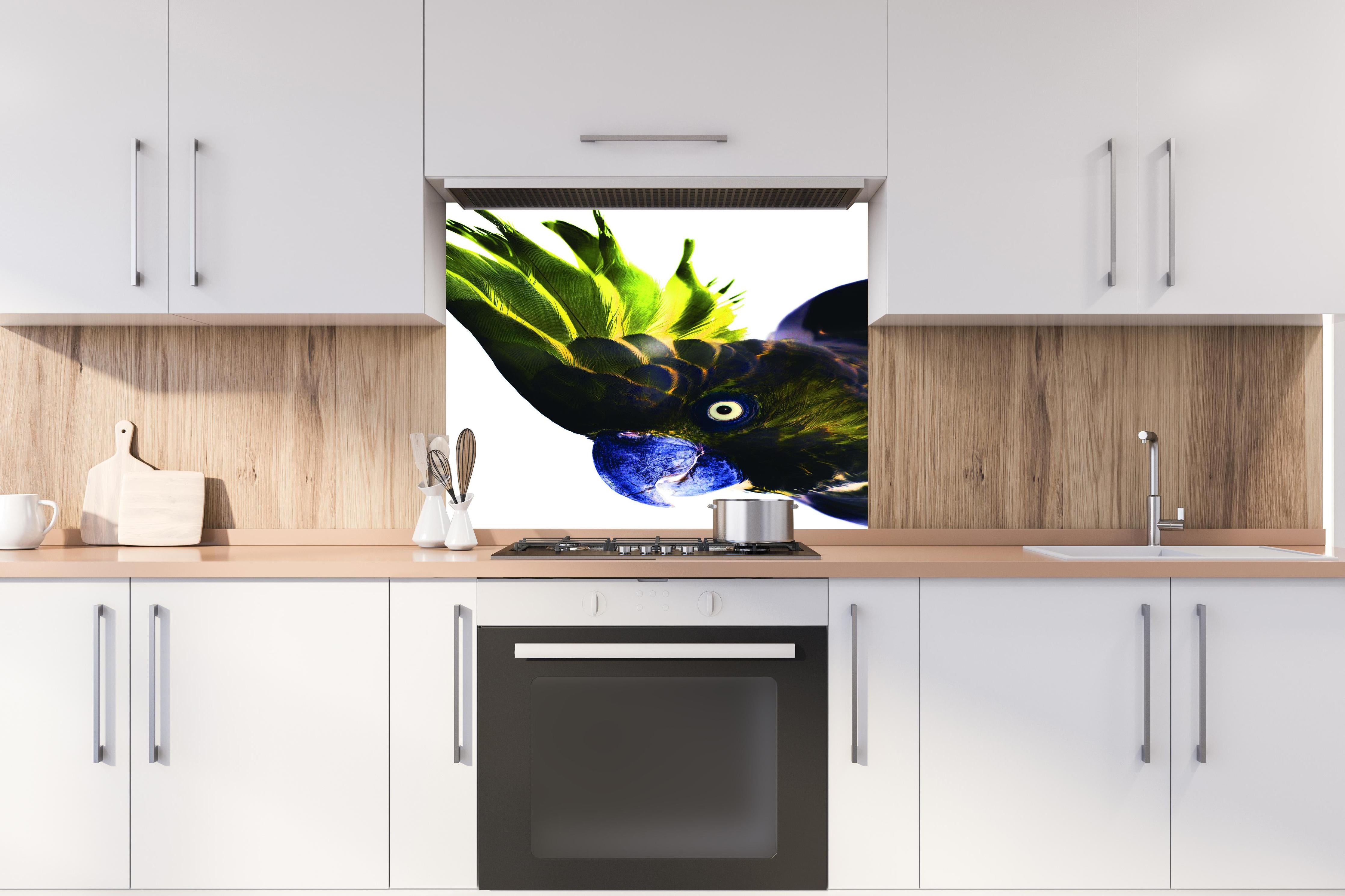 Spritzschutz - Farbenprächtiger Papagei vor Weiß hinter einem Cerankochfeld zwischen Holz-Kochutensilien
