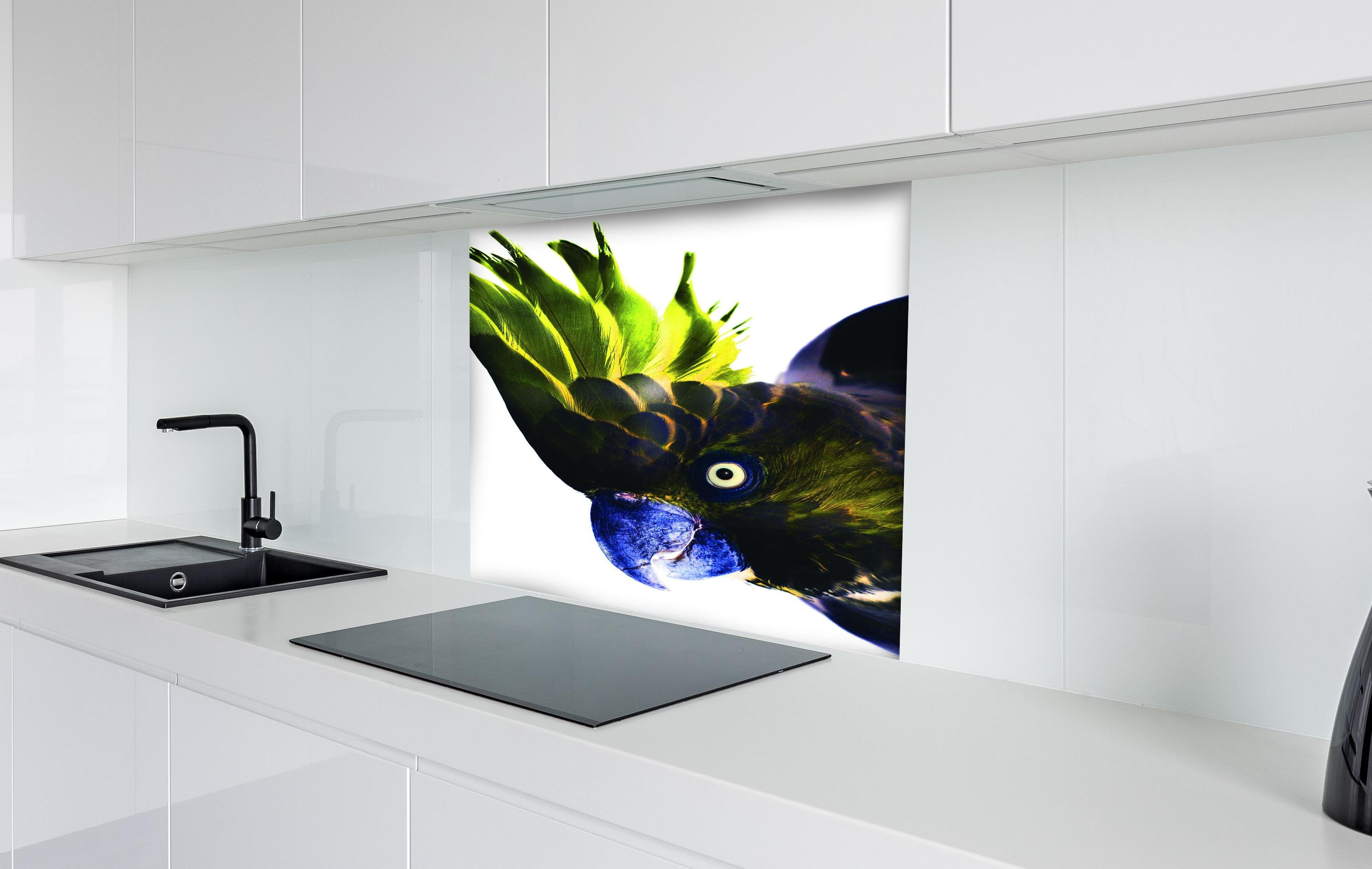 Spritzschutz - Farbenprächtiger Papagei vor Weiß hinter einem Cerankochfeld zwischen Holz-Kochutensilien
