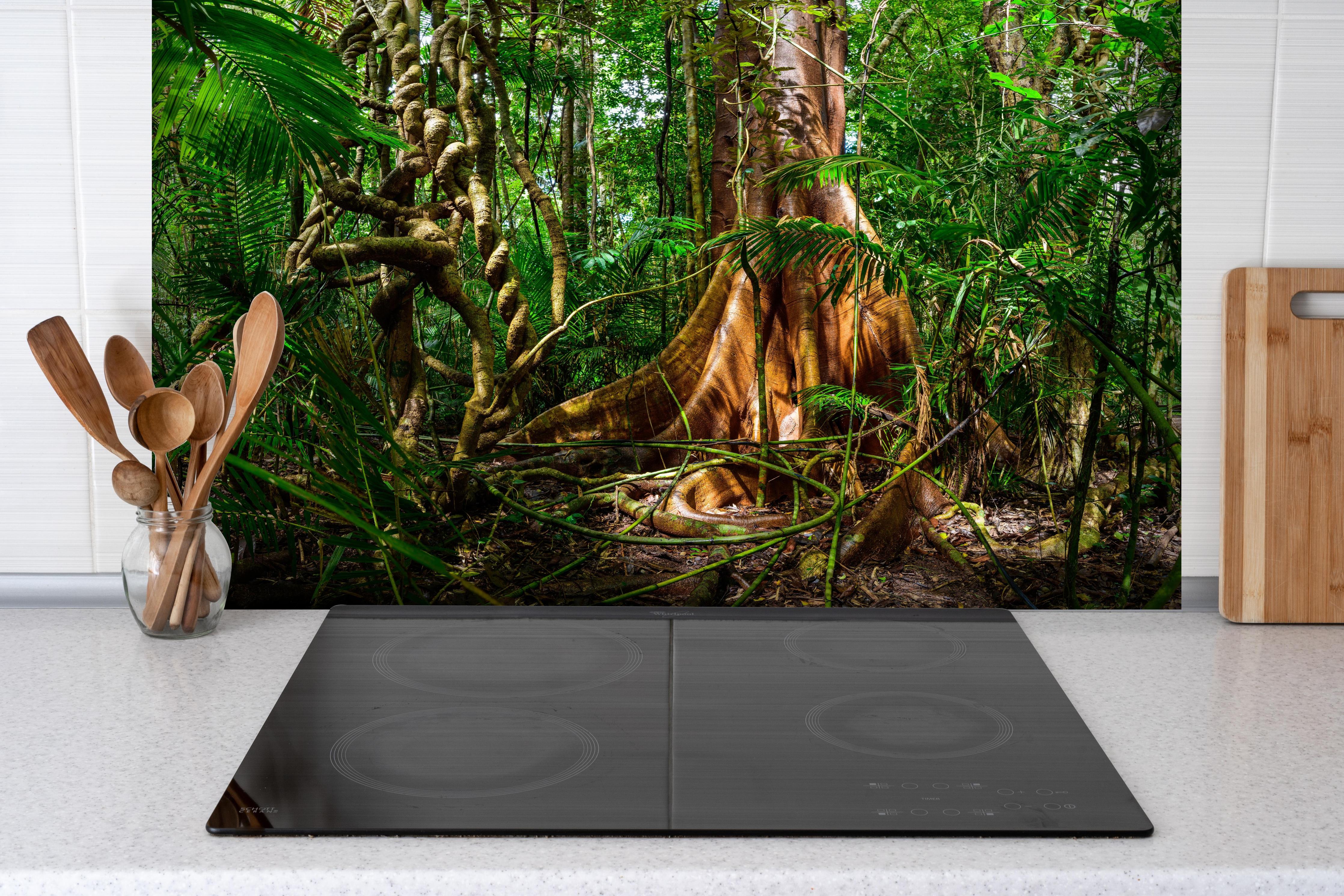 Spritzschutz - Feigenbaum hinter einem Cerankochfeld zwischen Holz-Kochutensilien
