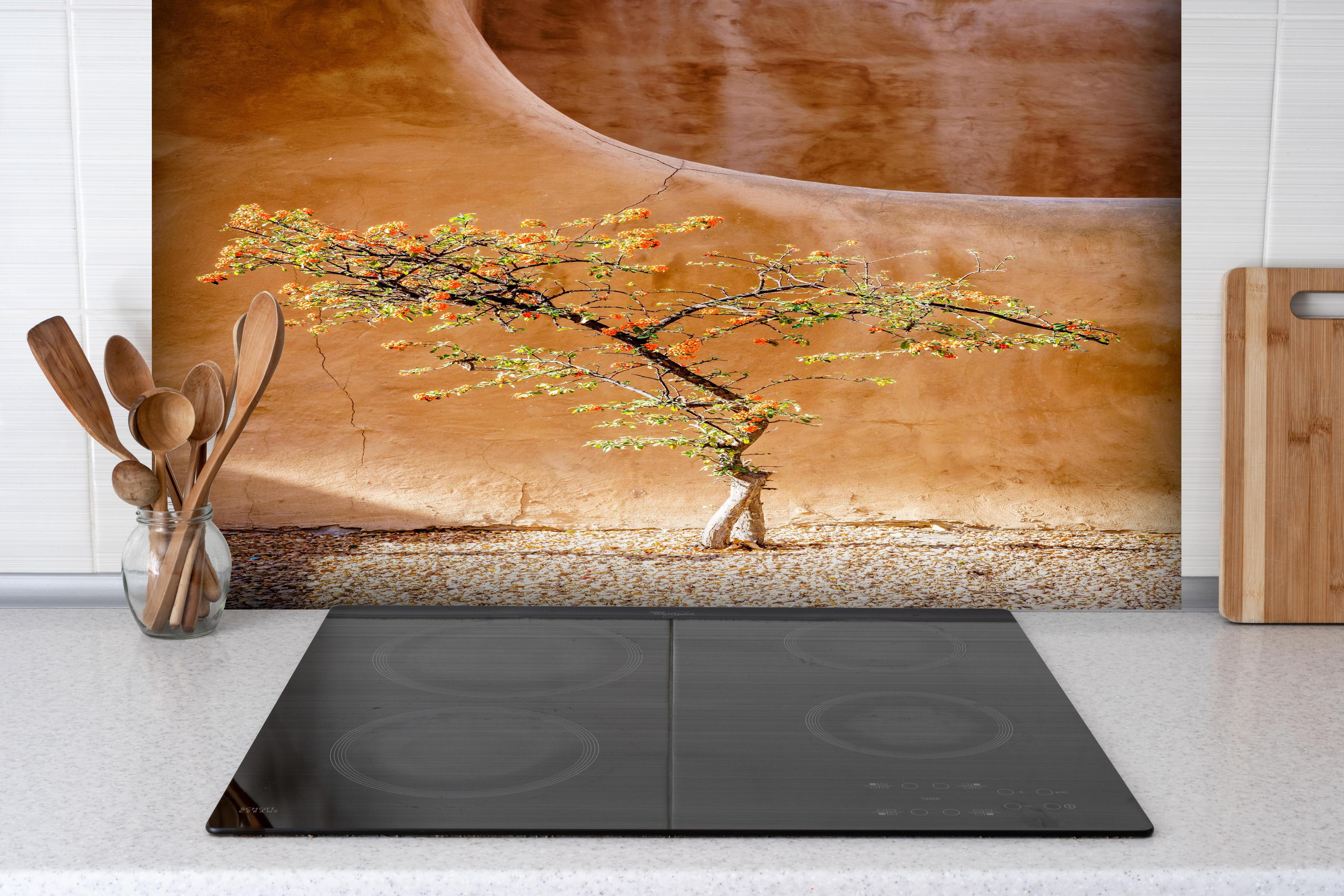 Spritzschutz - Feuerdornbaum in Bergregion - Amerika  hinter einem Cerankochfeld zwischen Holz-Kochutensilien
