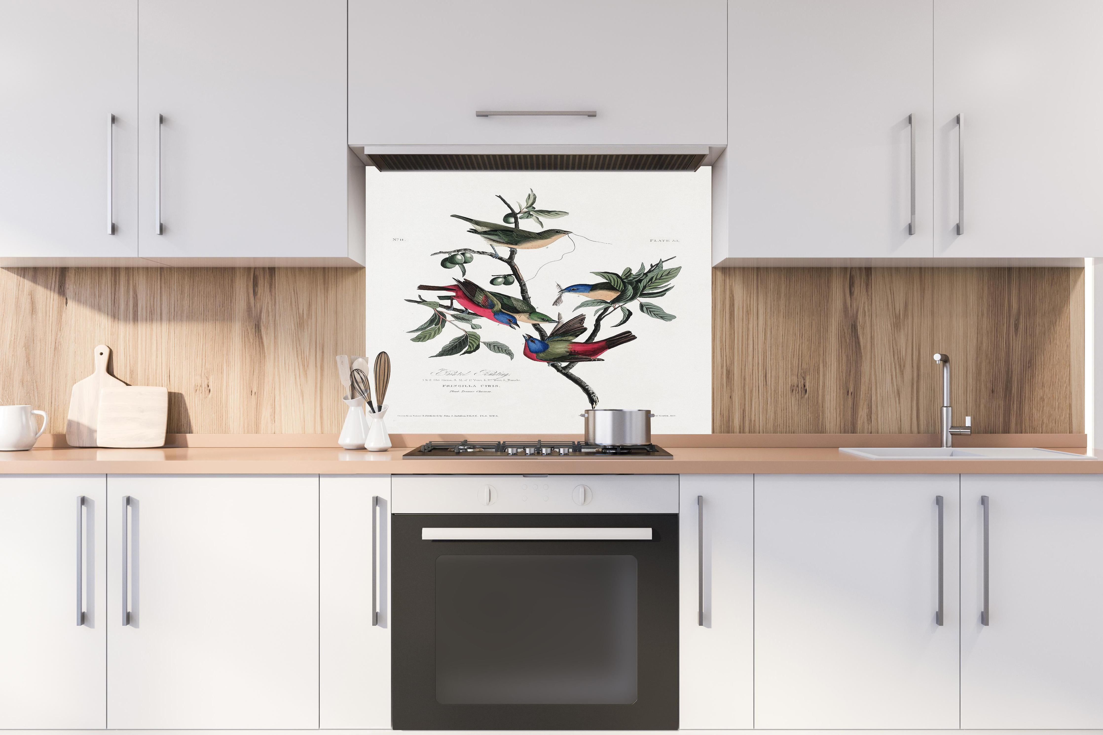 Spritzschutz - Fink Portrait - John James Audubon hinter einem Cerankochfeld zwischen Holz-Kochutensilien
