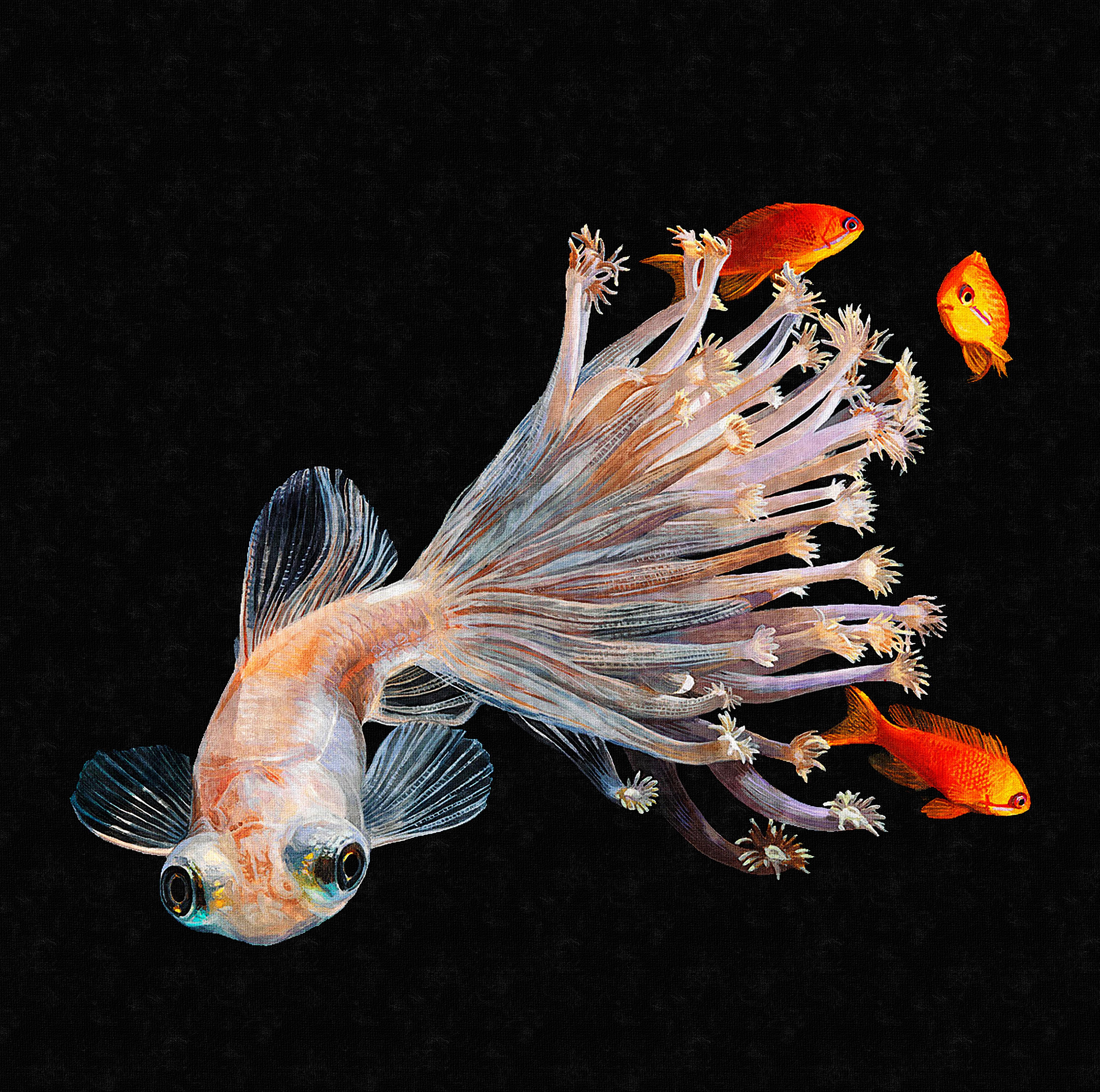 Spritzschutz-Fisch verschmolzen mit Korallen