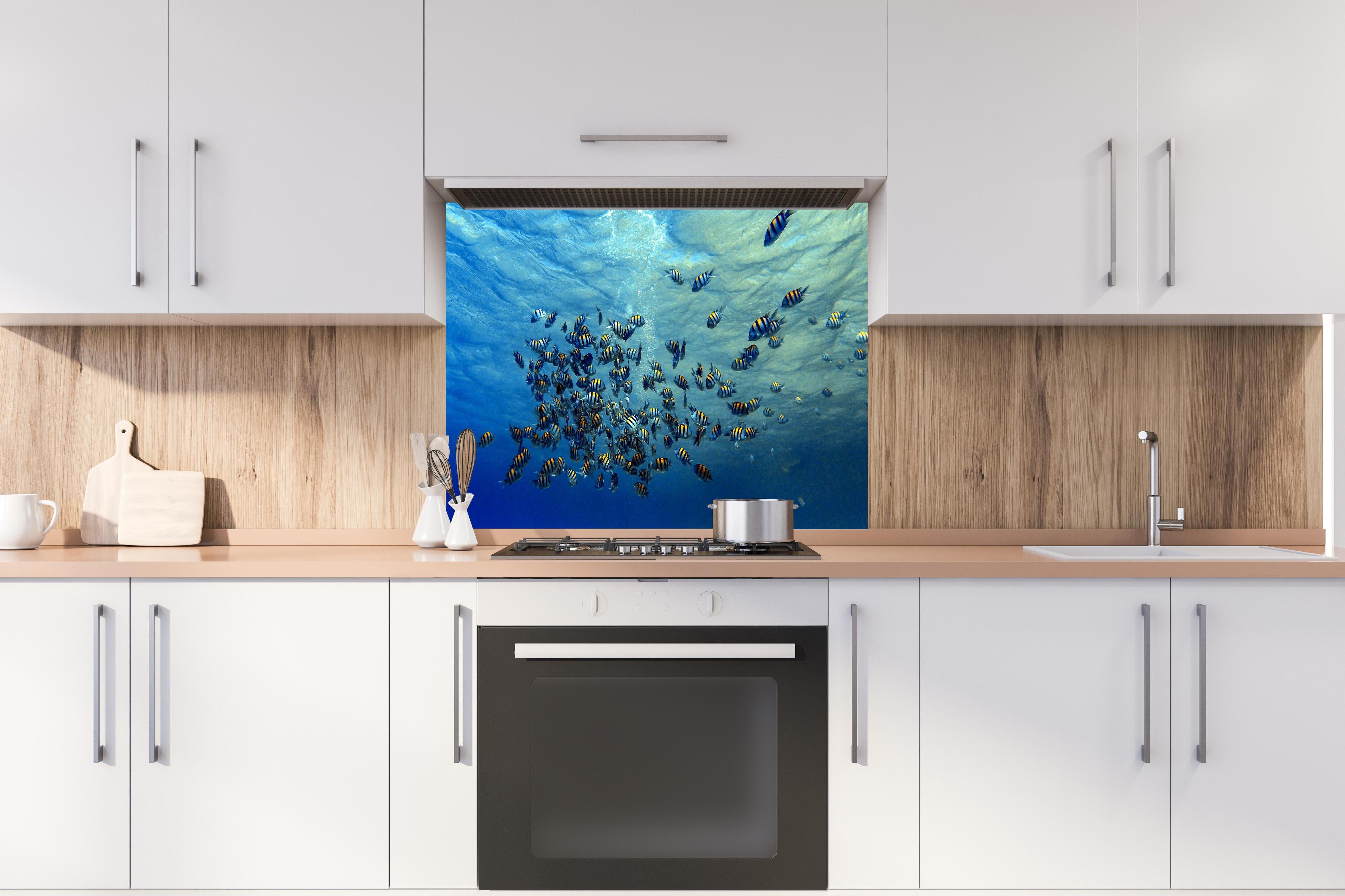 Spritzschutz - Fische im klarem Meer hinter einem Cerankochfeld zwischen Holz-Kochutensilien
