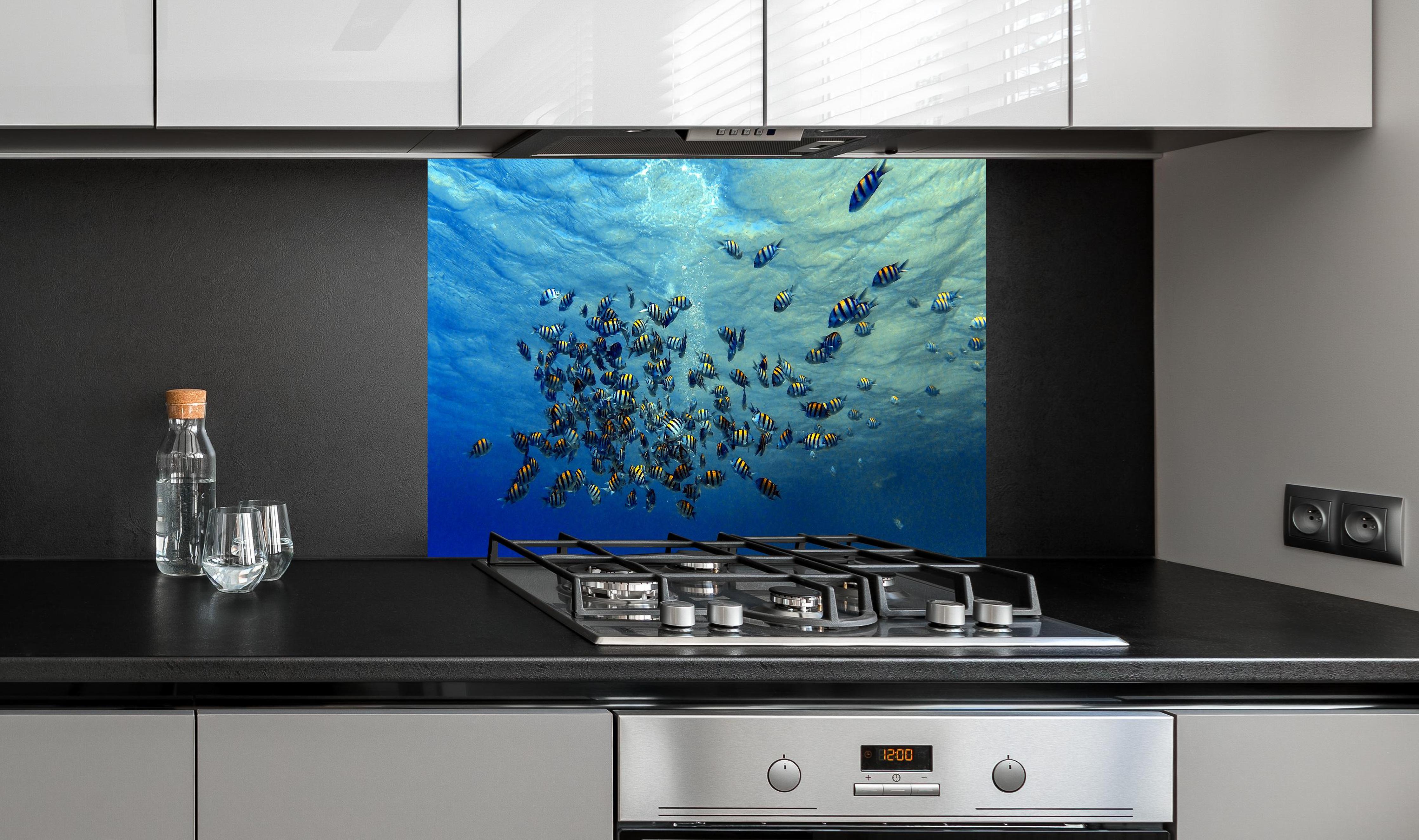 Spritzschutz - Fische im klarem Meer hinter einem Cerankochfeld zwischen Holz-Kochutensilien
