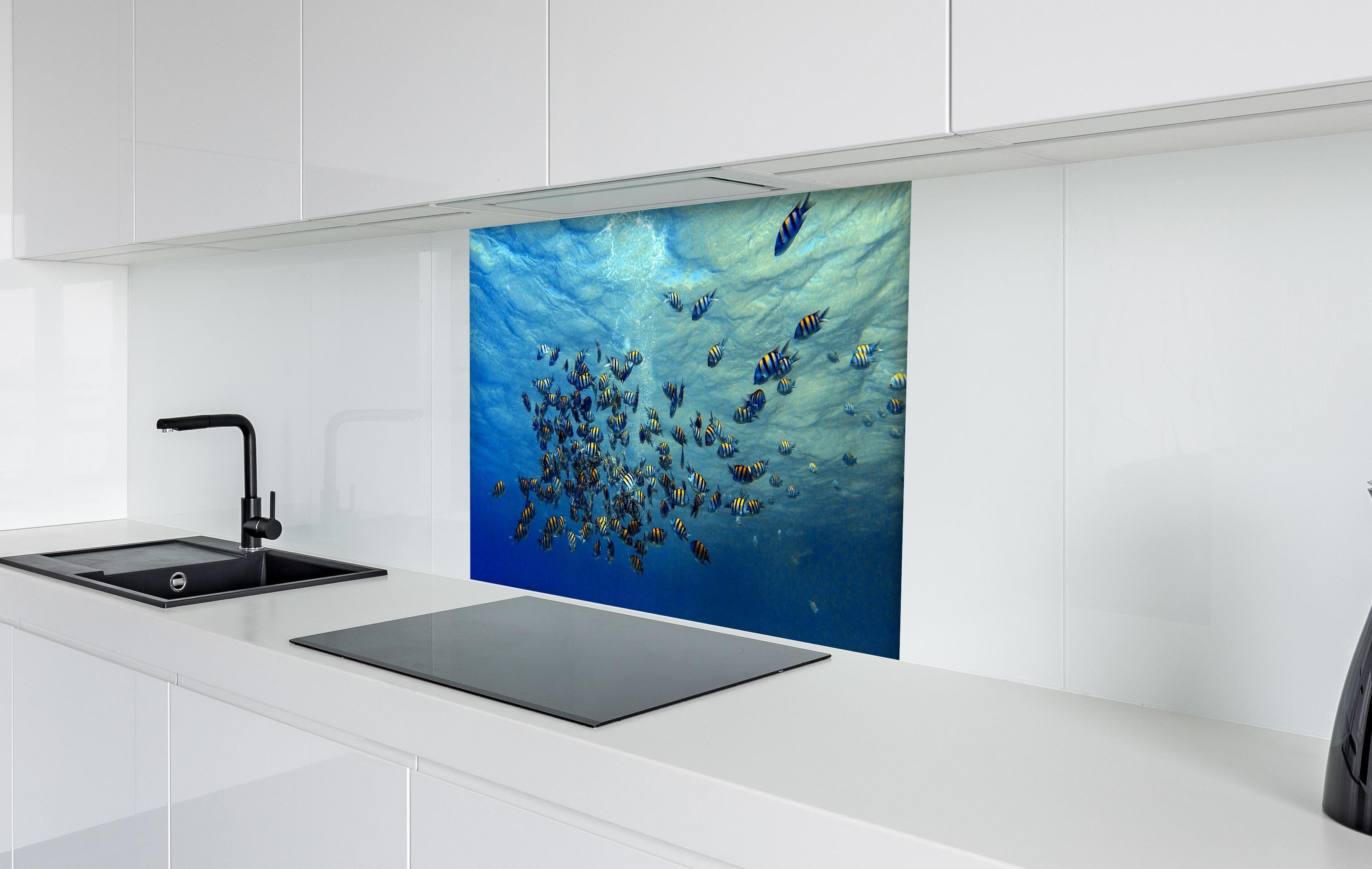 Spritzschutz - Fische im klarem Meer hinter einem Cerankochfeld zwischen Holz-Kochutensilien
