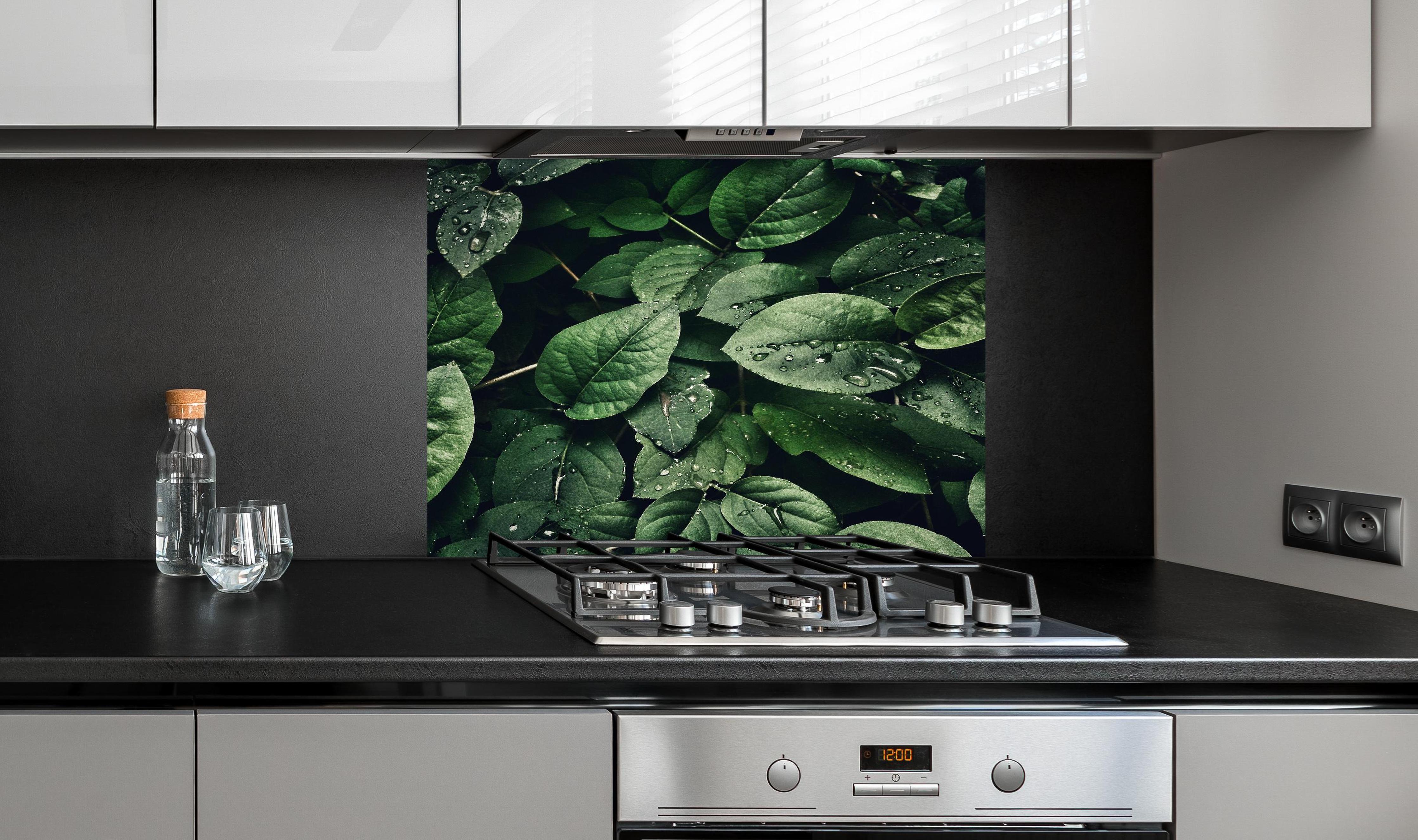 Spritzschutz - Frische Tropfen auf dunklen Blättern hinter einem Cerankochfeld zwischen Holz-Kochutensilien
