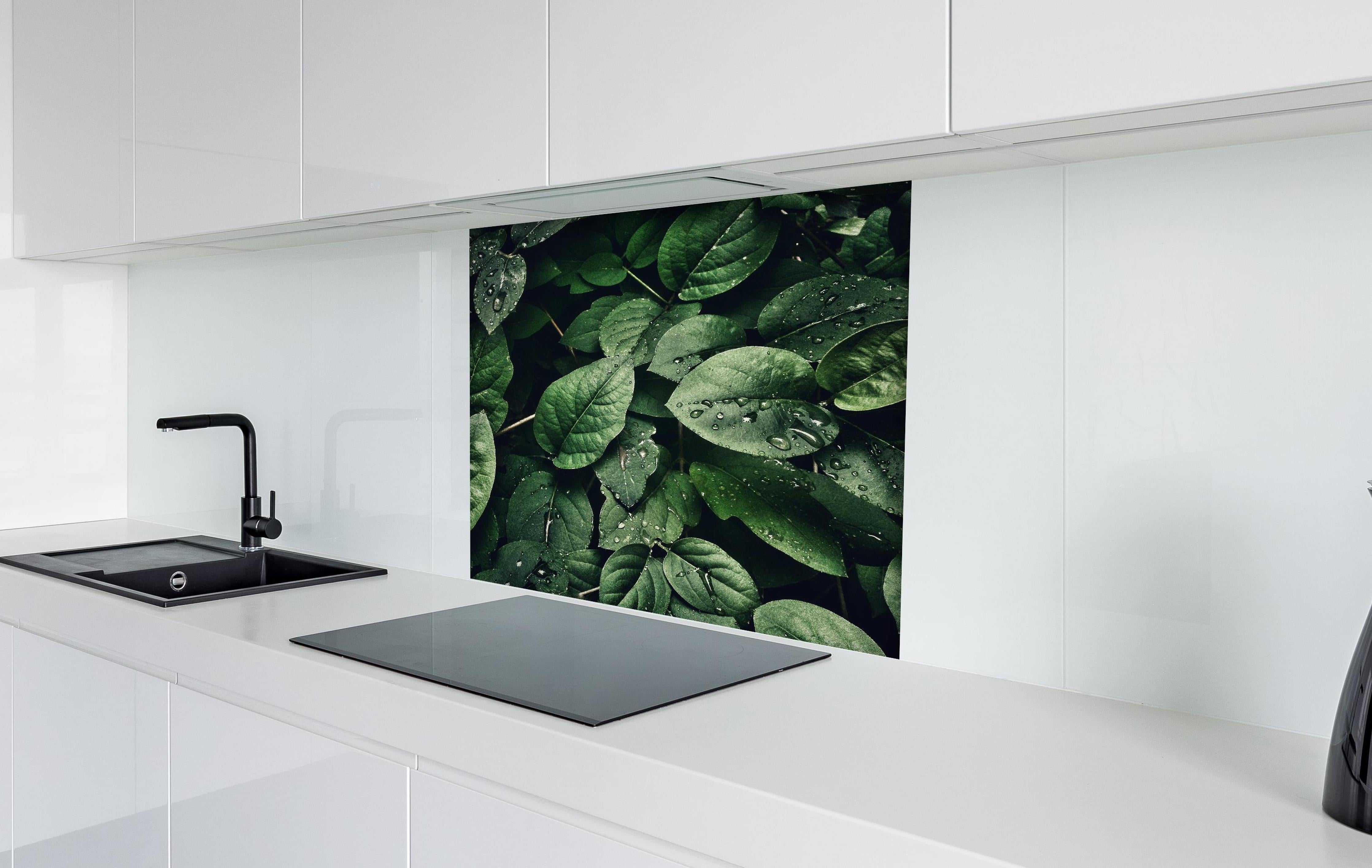 Spritzschutz - Frische Tropfen auf dunklen Blättern hinter einem Cerankochfeld zwischen Holz-Kochutensilien
