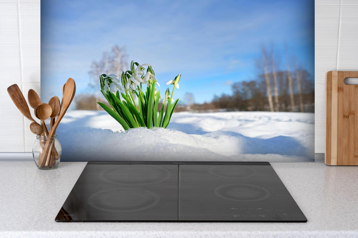 Spritzschutz - Frühlingsblumen durchbrechen Schneedecke hinter einem Cerankochfeld zwischen Holz-Kochutensilien
