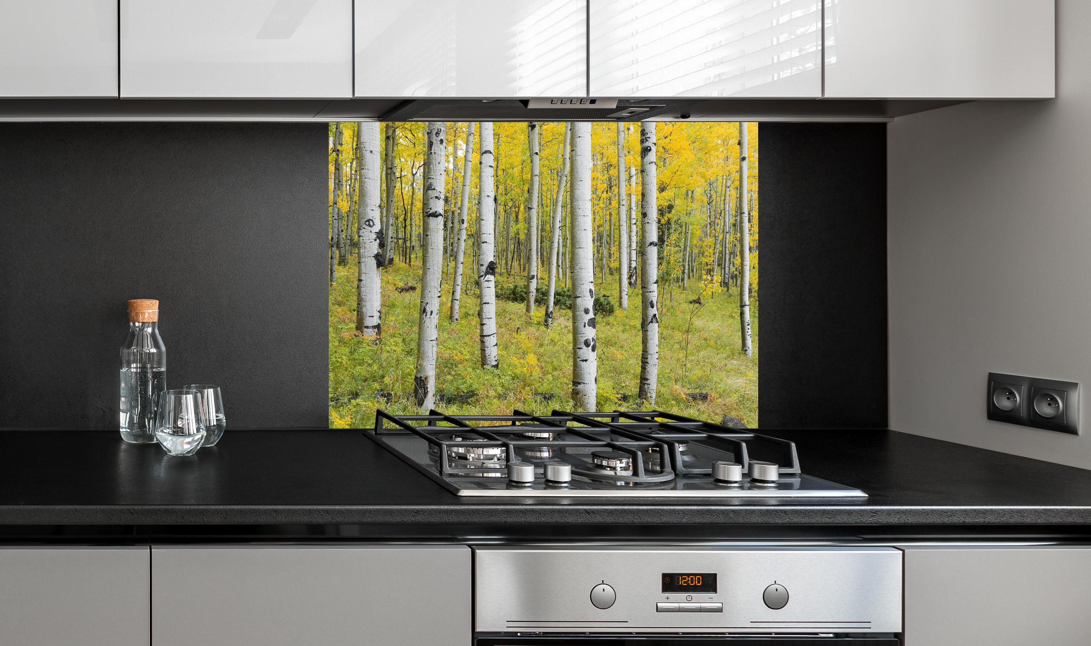 Spritzschutz - Gelb, grüner Birkenwald hinter einem Cerankochfeld zwischen Holz-Kochutensilien
