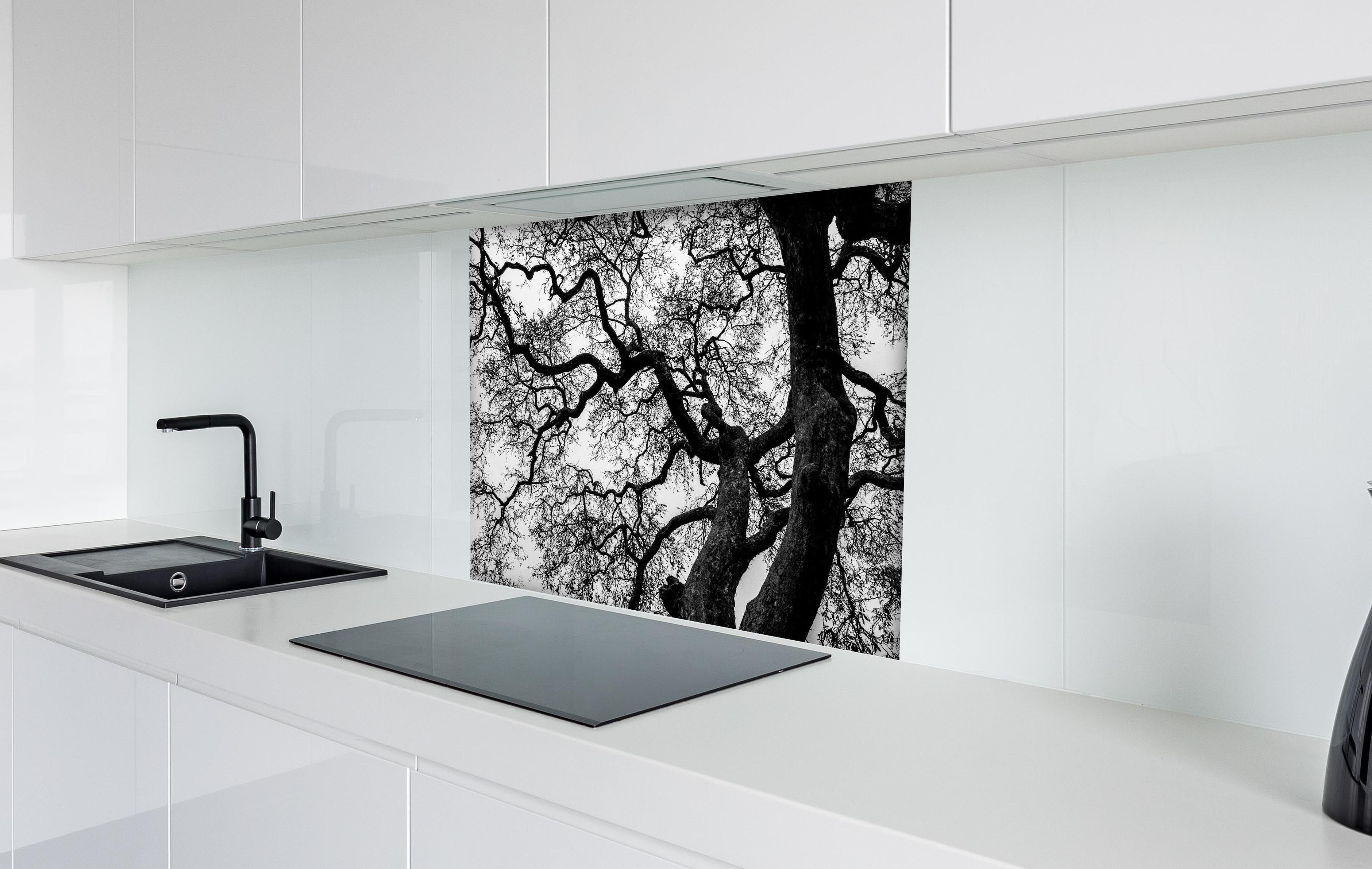 Spritzschutz - Geometrische Baumäste Monochrom Kunst hinter einem Cerankochfeld zwischen Holz-Kochutensilien
