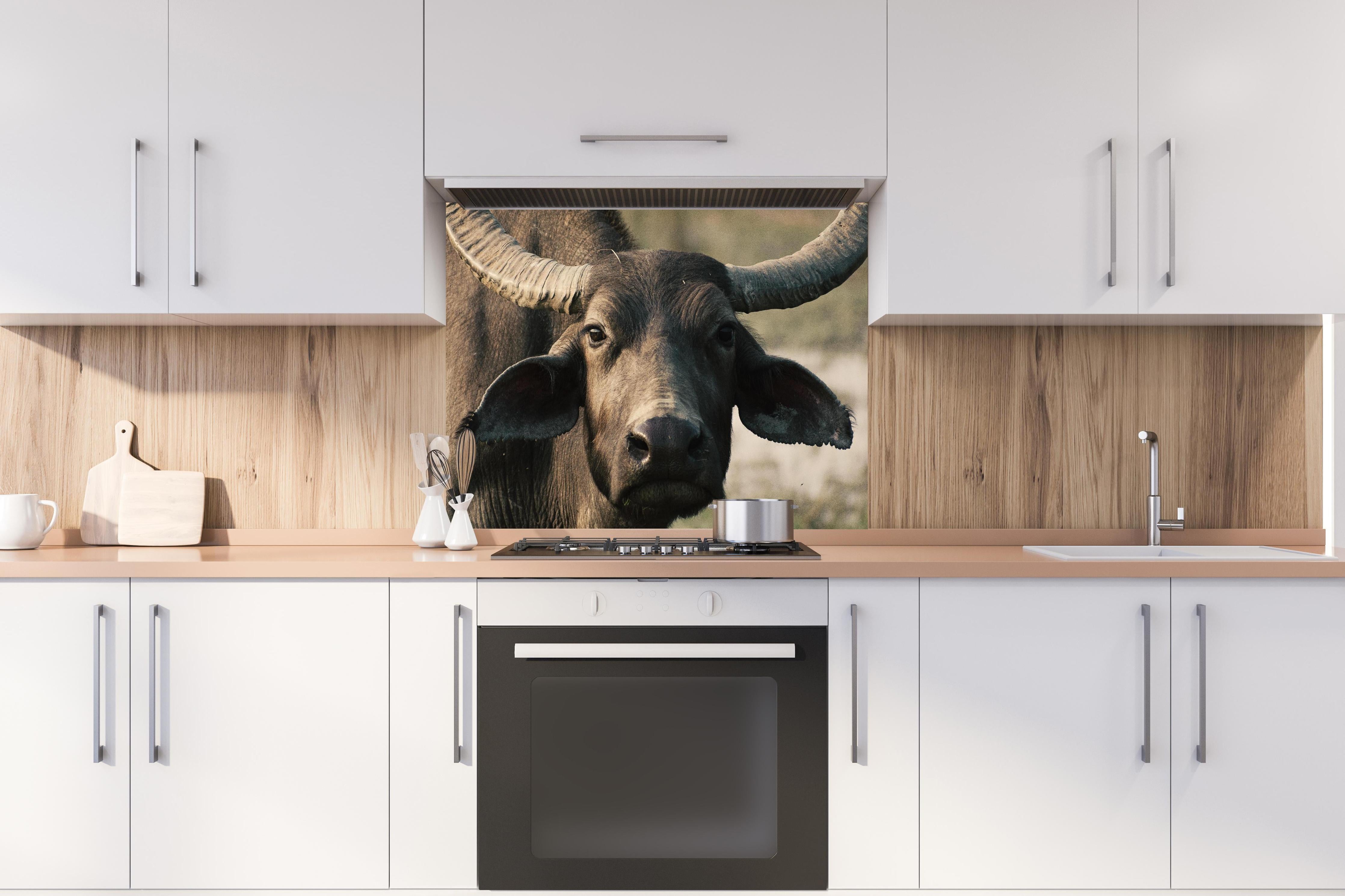 Spritzschutz - Gesicht eines Büffels hinter einem Cerankochfeld zwischen Holz-Kochutensilien
