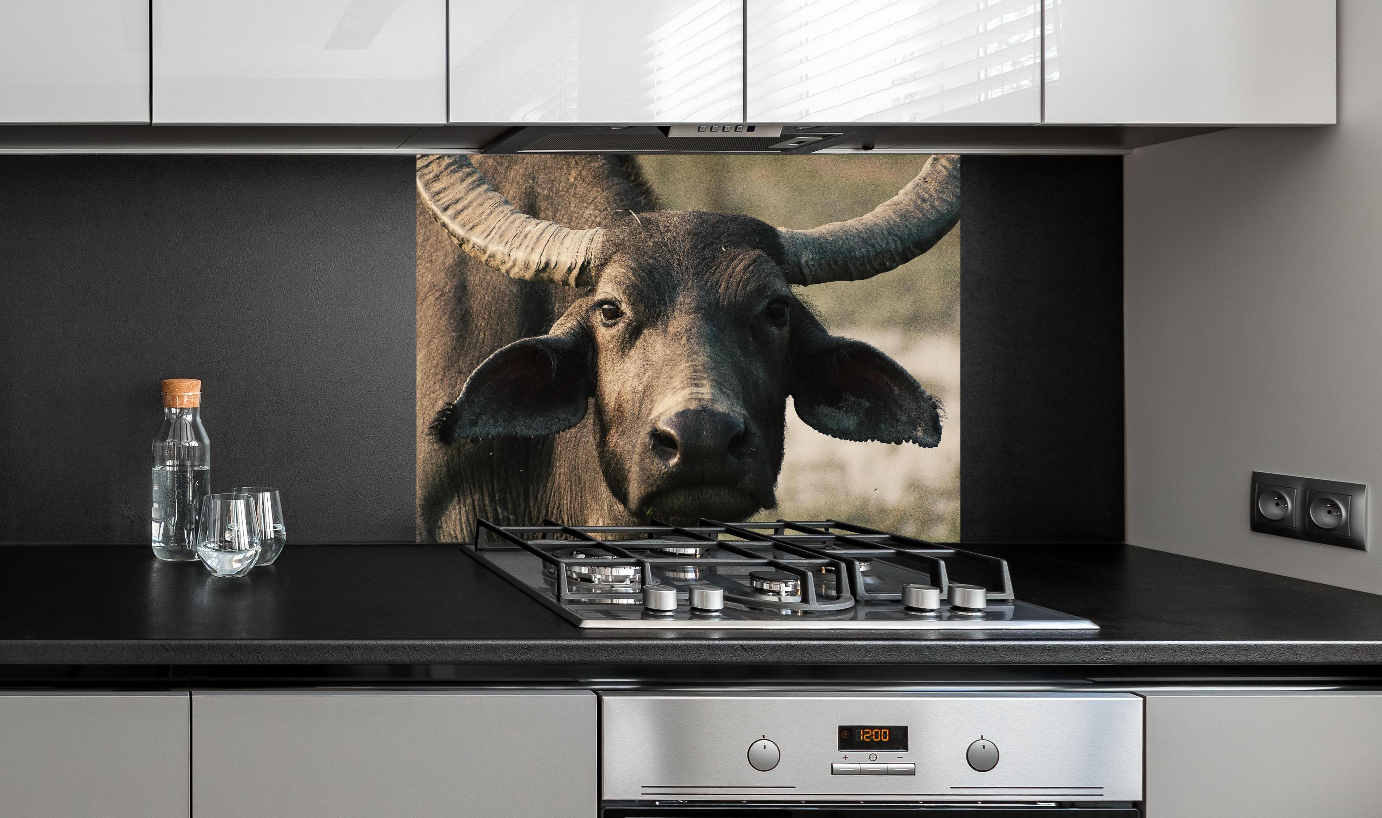 Spritzschutz - Gesicht eines Büffels hinter einem Cerankochfeld zwischen Holz-Kochutensilien
