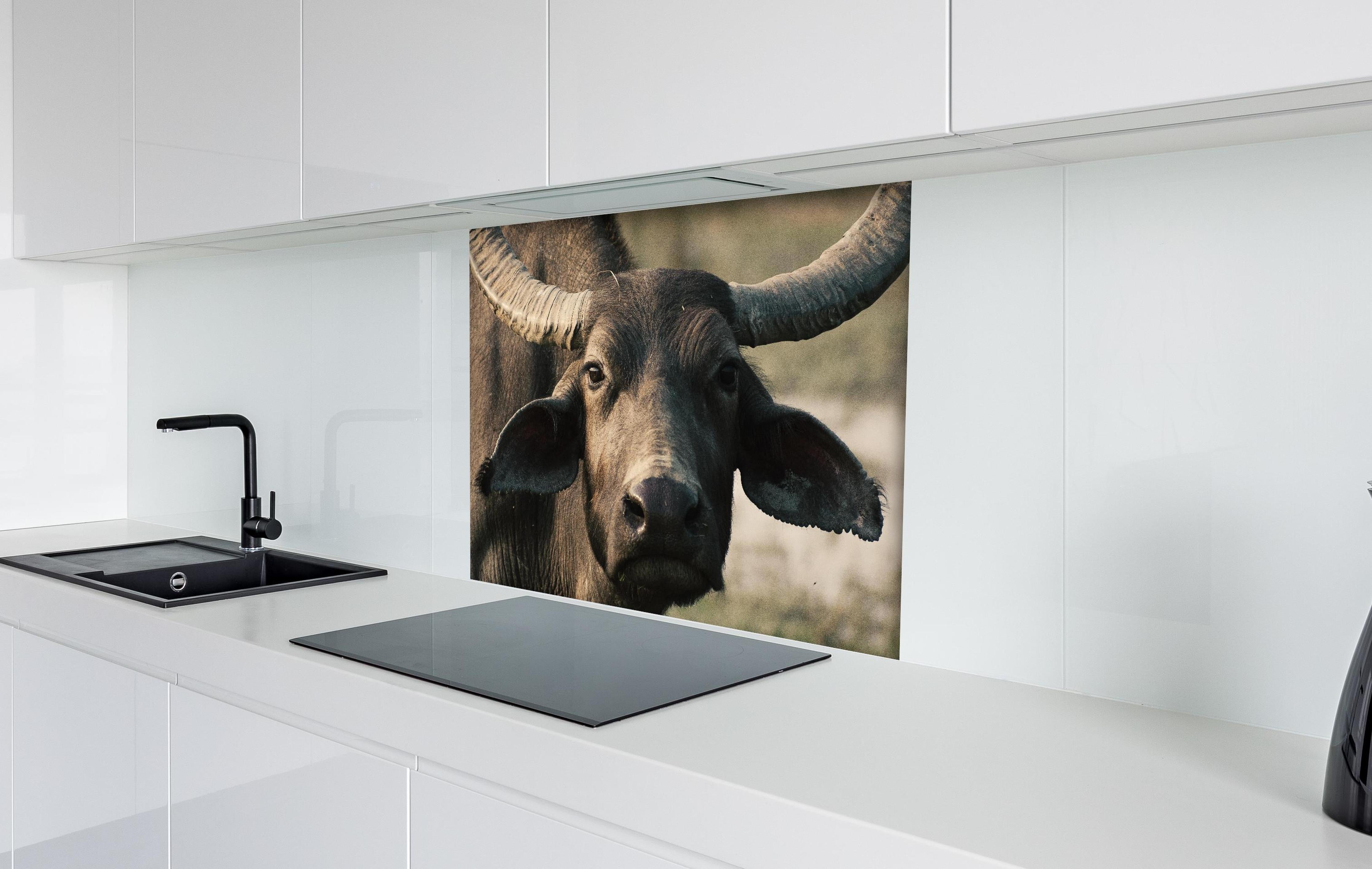 Spritzschutz - Gesicht eines Büffels hinter einem Cerankochfeld zwischen Holz-Kochutensilien
