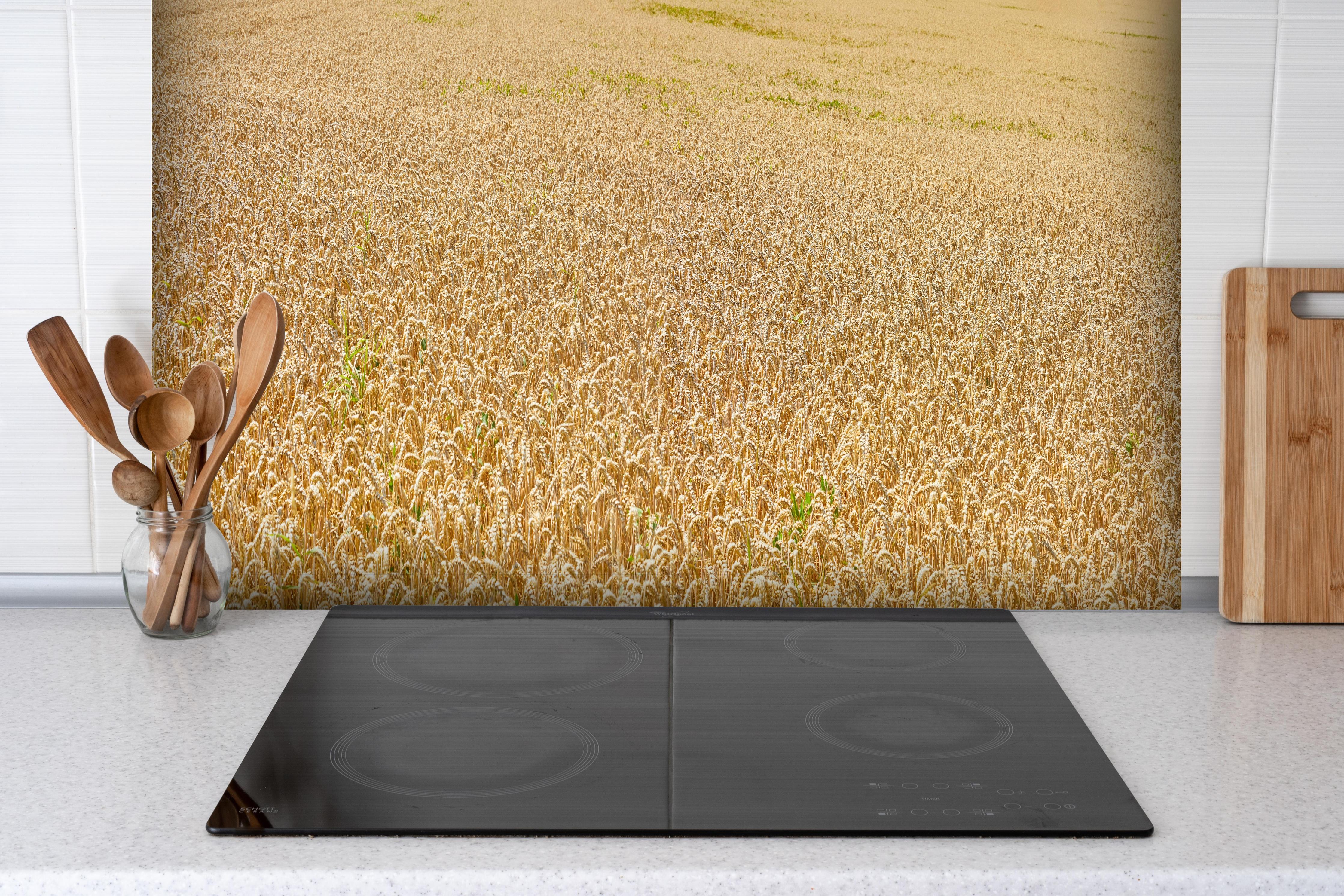 Spritzschutz - Getreidefeld - Panoramabild hinter einem Cerankochfeld zwischen Holz-Kochutensilien
