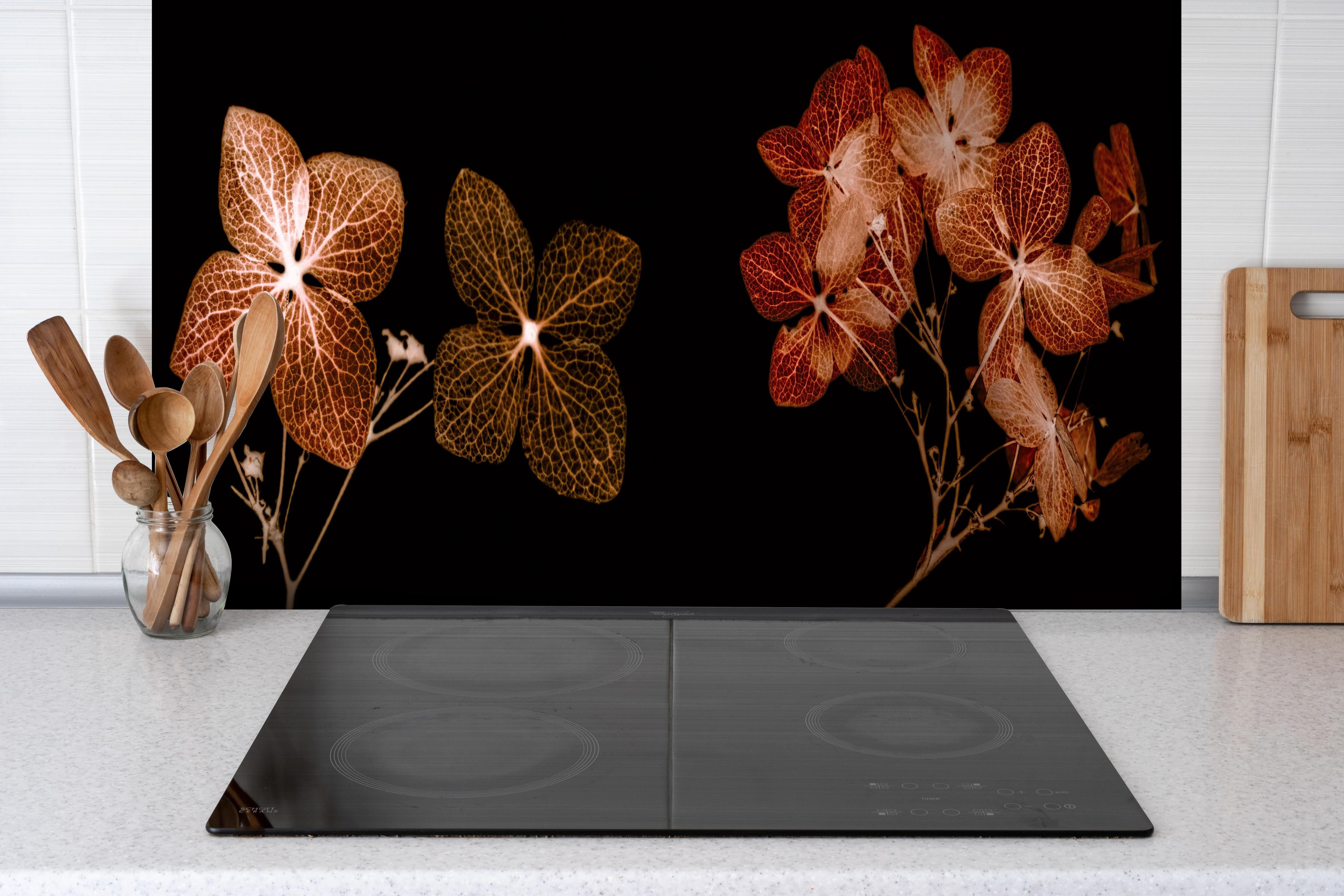 Spritzschutz - Getrocknete Hortensien Nahaufnahme auf Weiß hinter einem Cerankochfeld zwischen Holz-Kochutensilien
