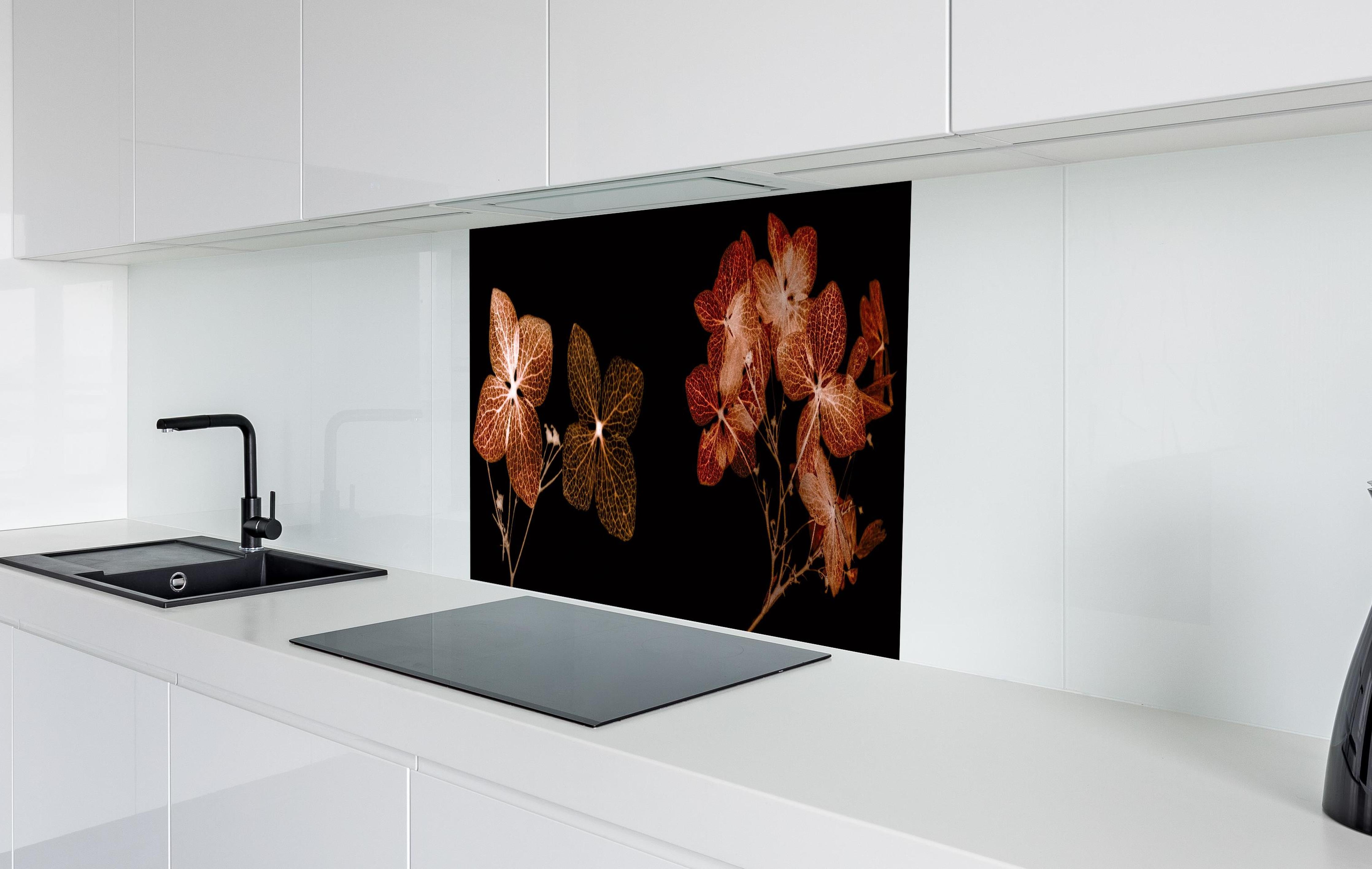 Spritzschutz - Getrocknete Hortensien Nahaufnahme auf Weiß hinter einem Cerankochfeld zwischen Holz-Kochutensilien
