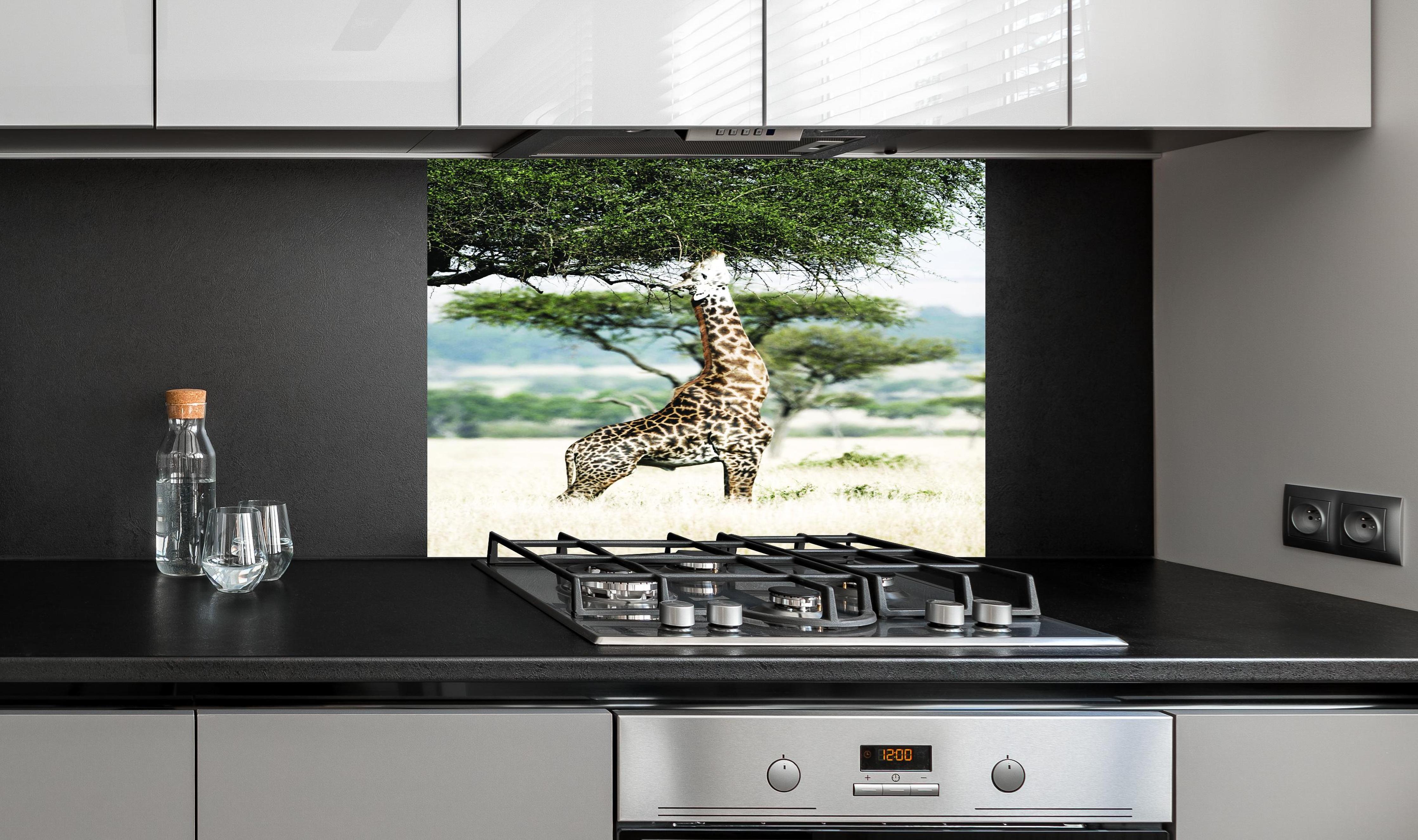 Spritzschutz - Giraffe in der Savanne hinter einem Cerankochfeld zwischen Holz-Kochutensilien
