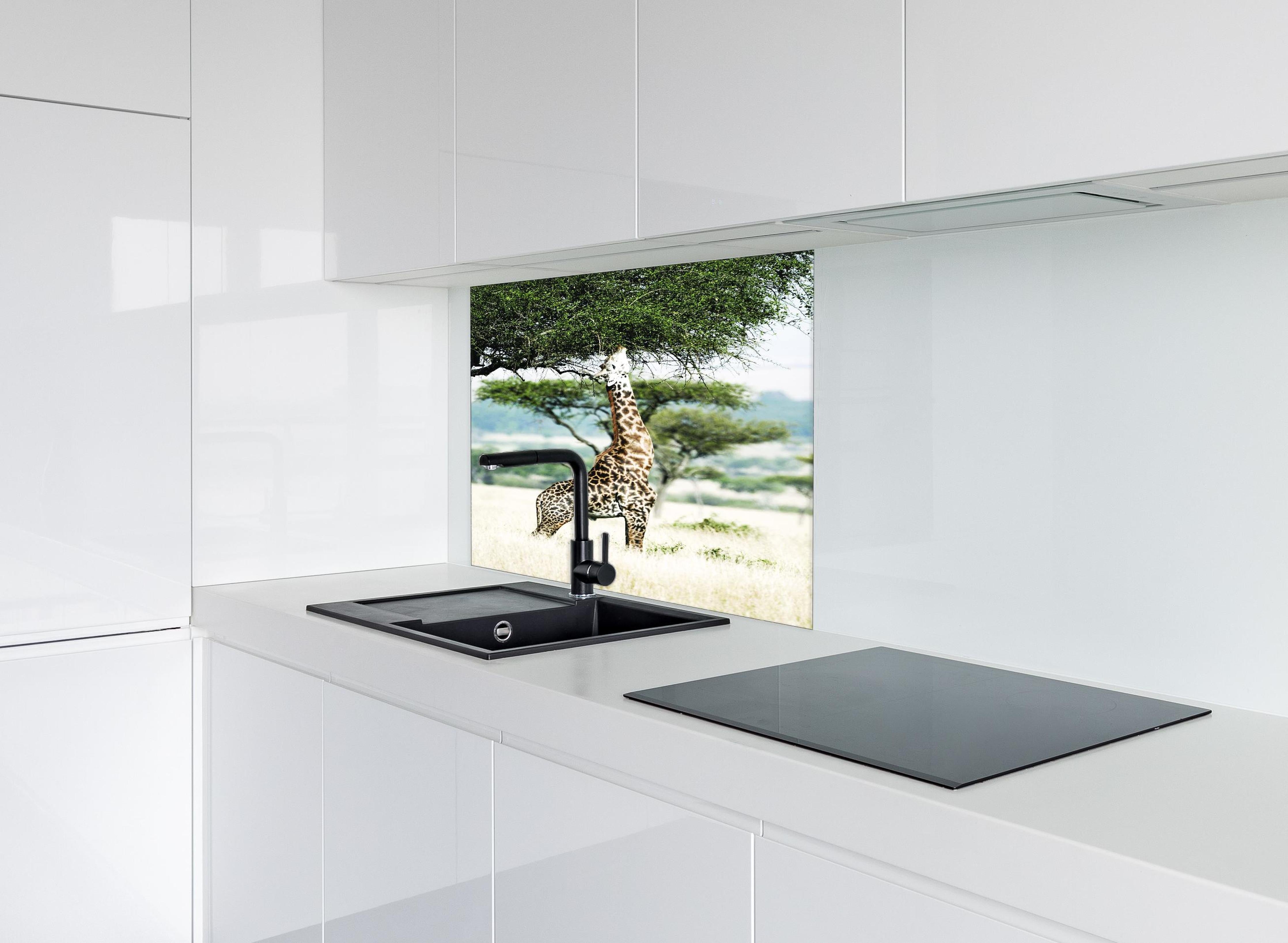 Spritzschutz - Giraffe in der Savanne hinter einem Cerankochfeld zwischen Holz-Kochutensilien
