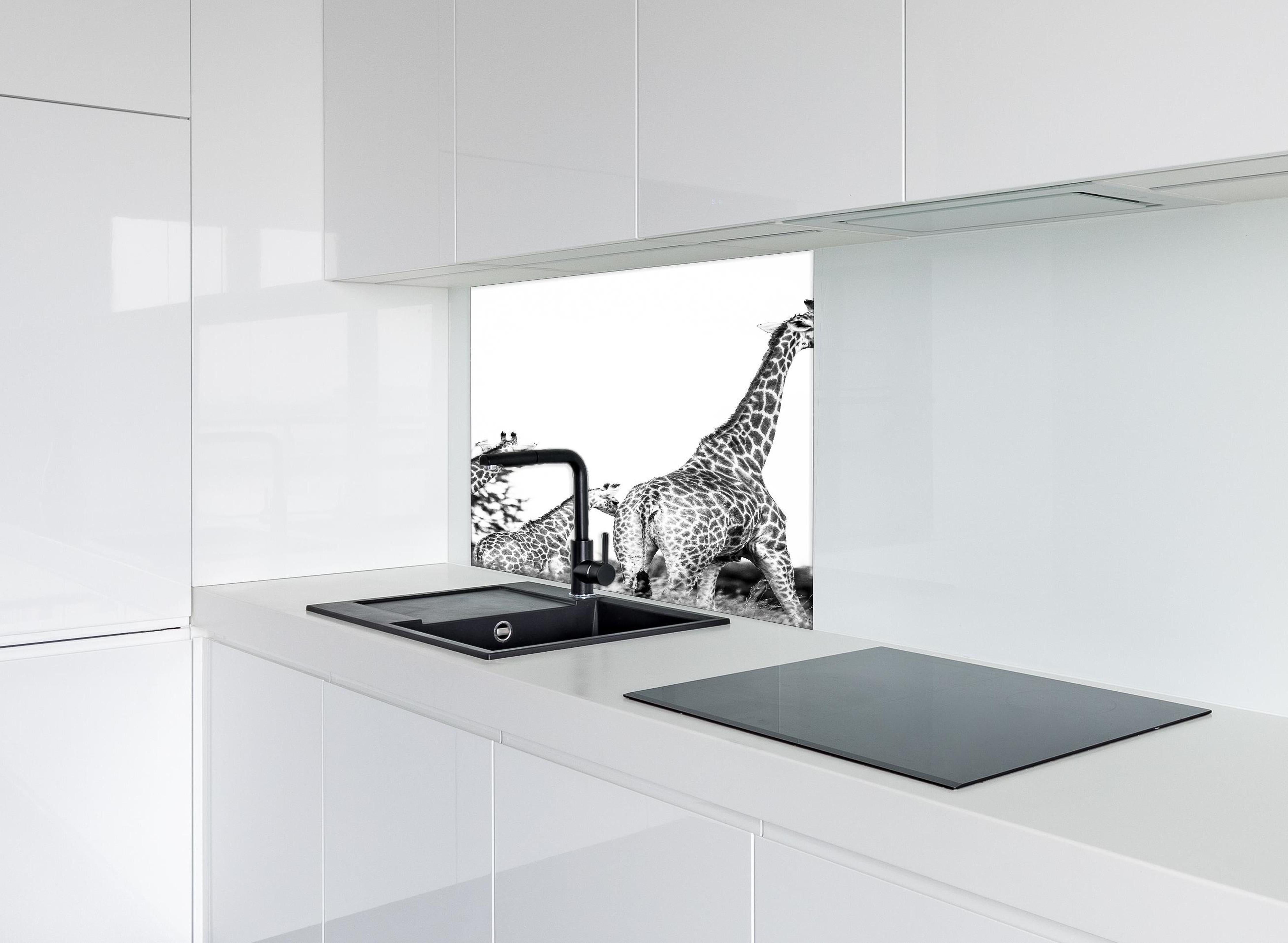 Spritzschutz - Giraffen Familie - schwarz-weiß hinter einem Cerankochfeld zwischen Holz-Kochutensilien
