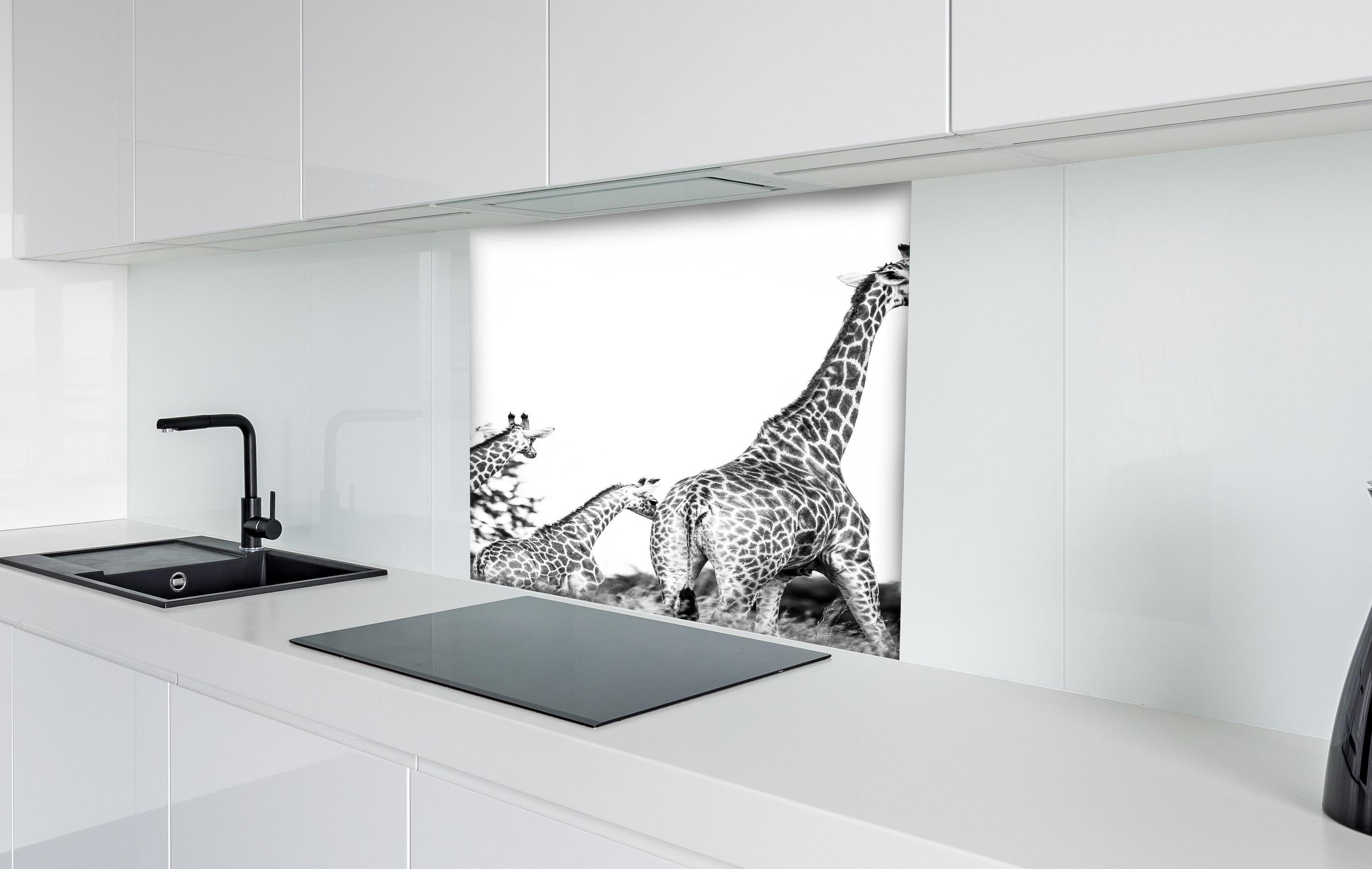 Spritzschutz - Giraffen Familie - schwarz-weiß hinter einem Cerankochfeld zwischen Holz-Kochutensilien
