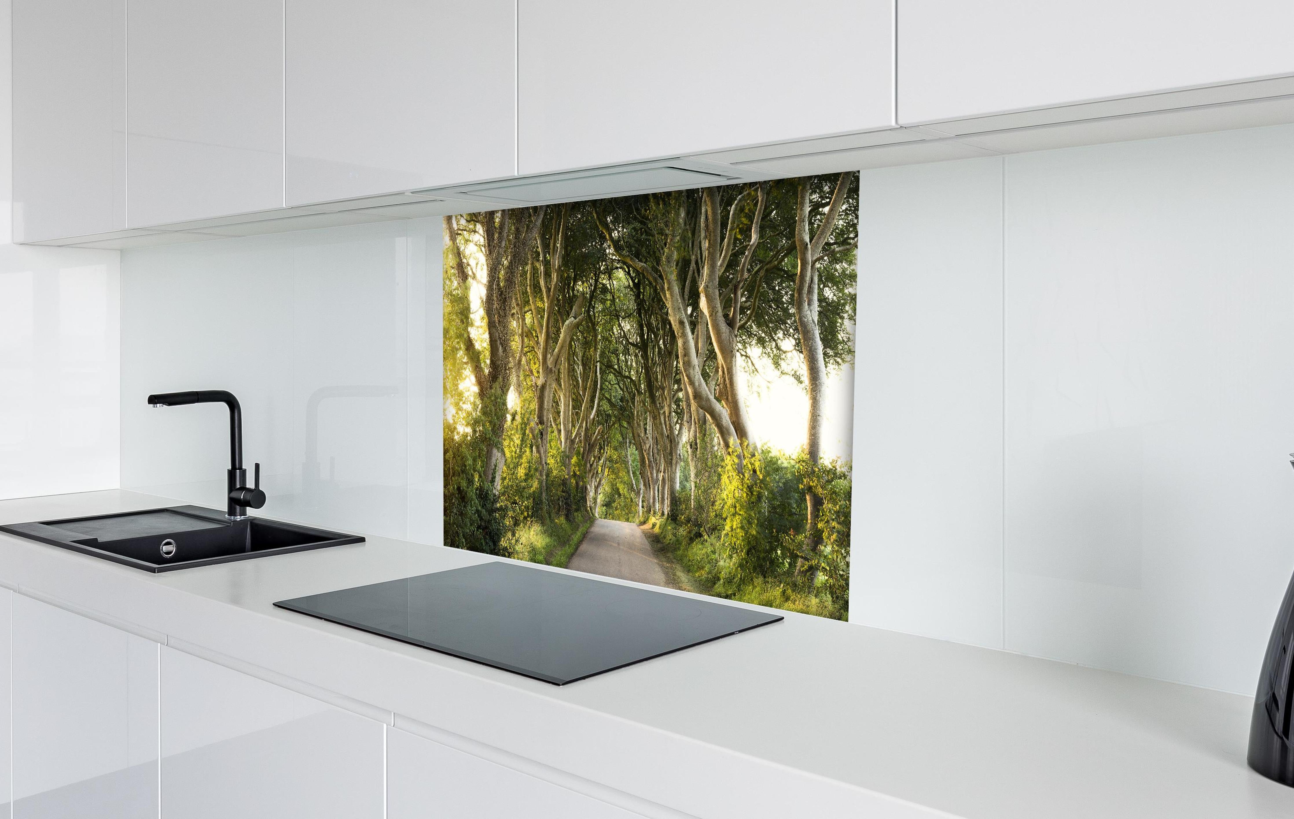 Spritzschutz - Goldener Weg im Wald hinter einem Cerankochfeld zwischen Holz-Kochutensilien
