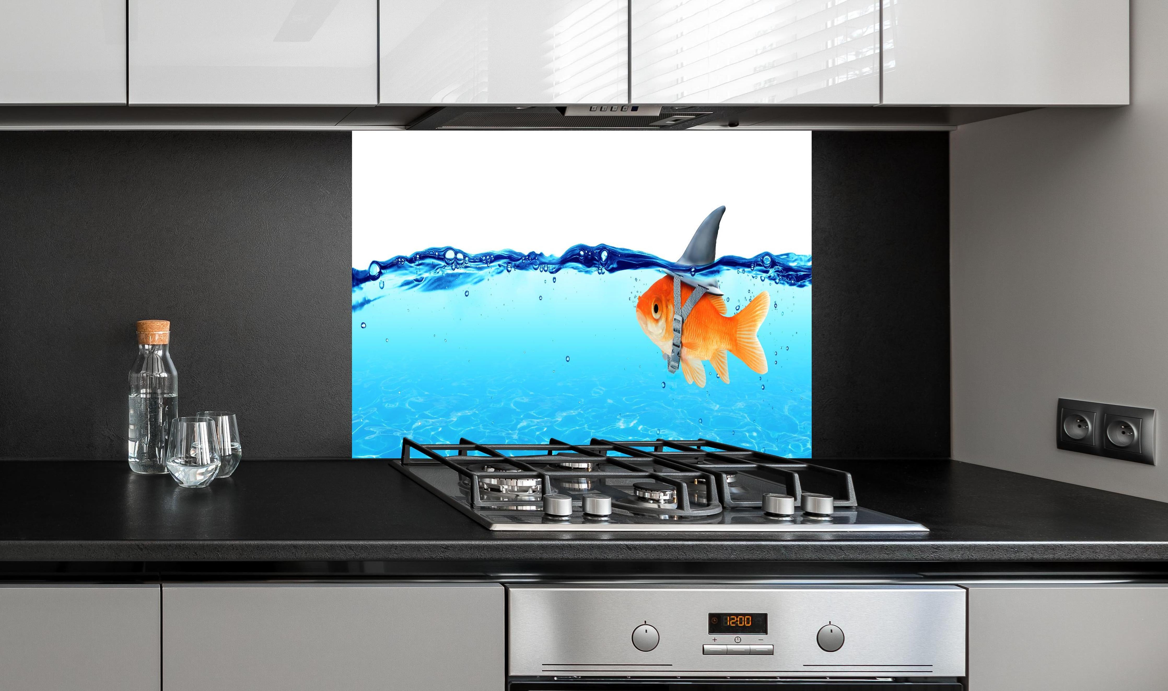 Spritzschutz - Goldfisch als Hai hinter einem Cerankochfeld zwischen Holz-Kochutensilien
