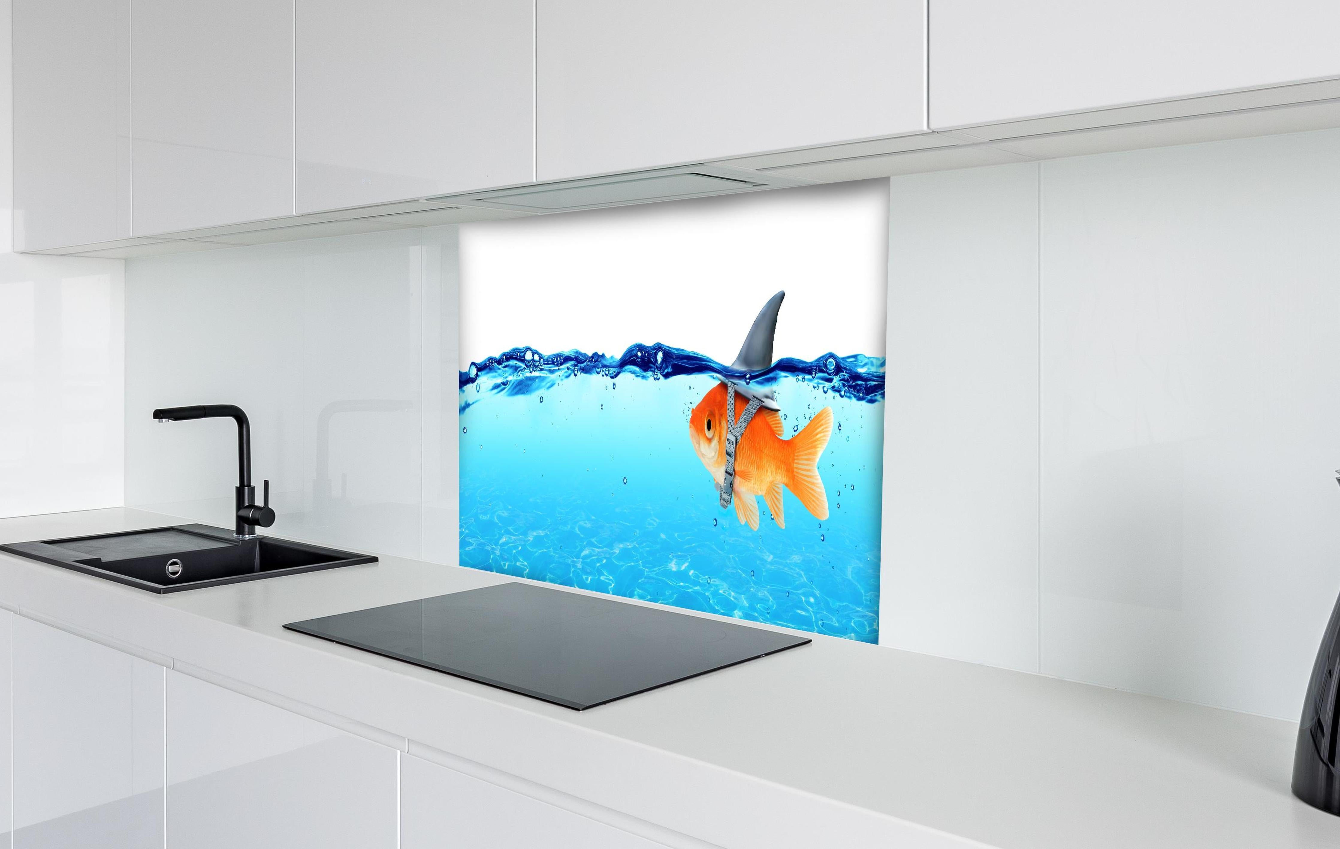 Spritzschutz - Goldfisch als Hai hinter einem Cerankochfeld zwischen Holz-Kochutensilien
