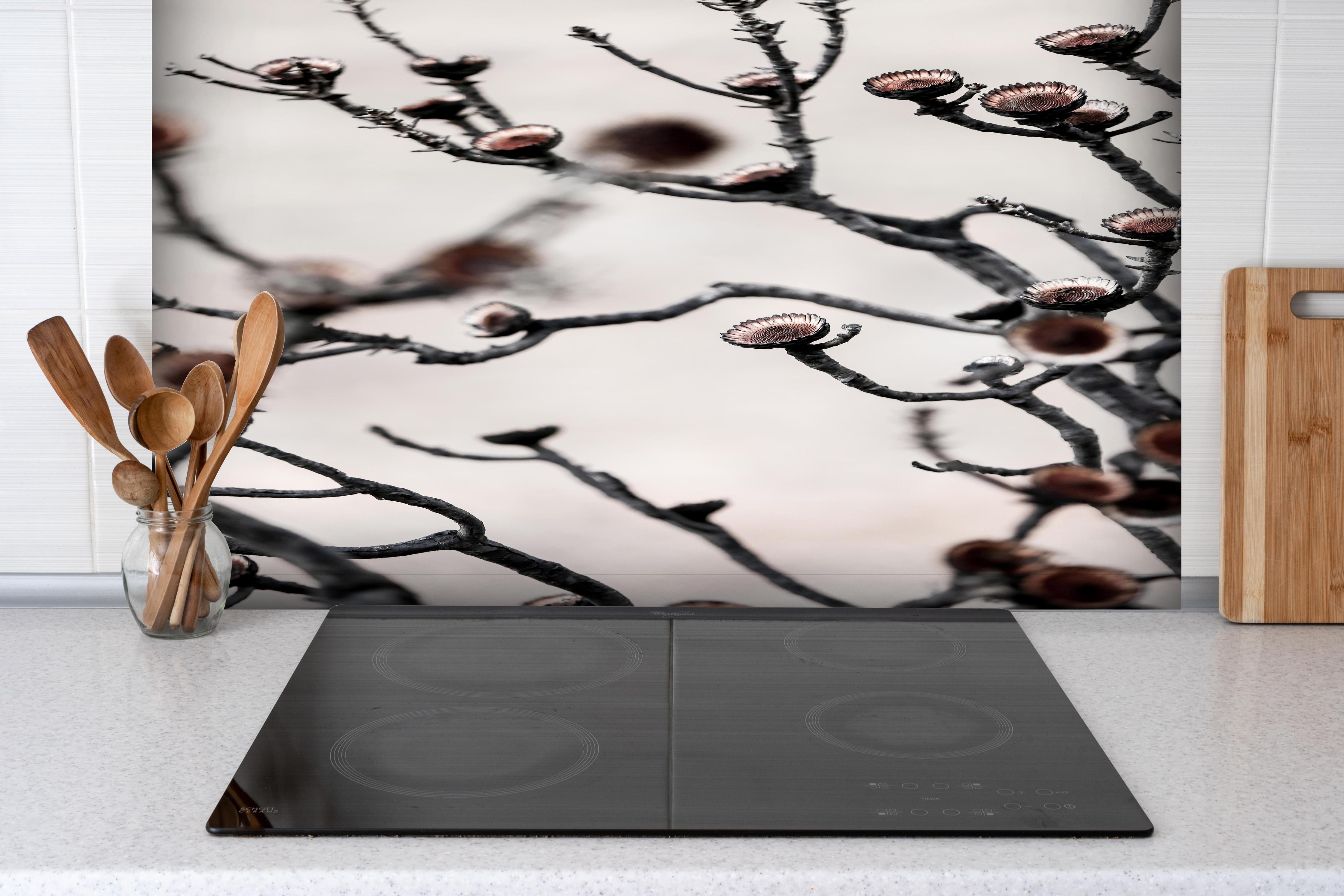 Spritzschutz - Grau-weiße Äste in High-Key Beleuchtung hinter einem Cerankochfeld zwischen Holz-Kochutensilien
