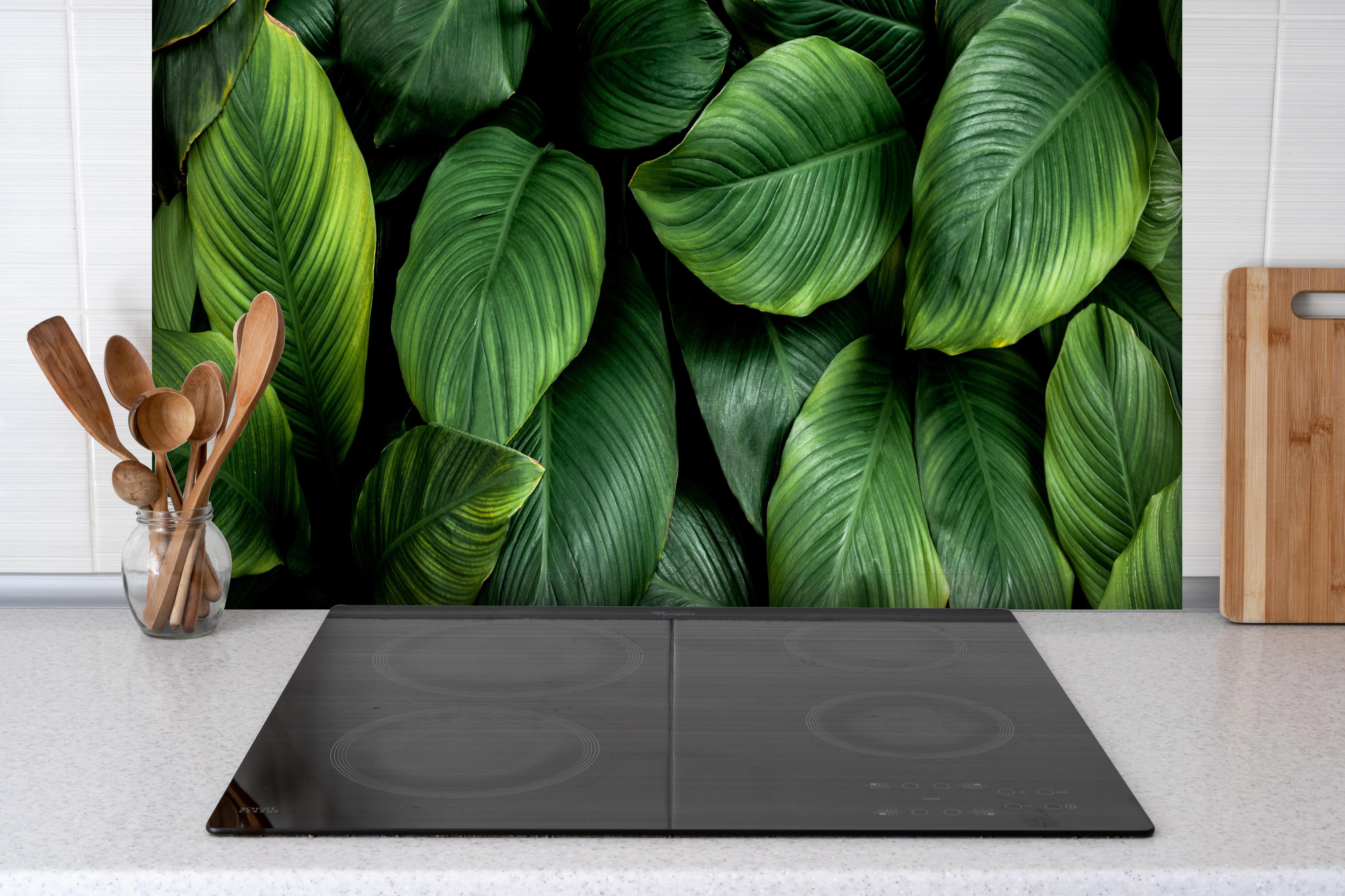 Spritzschutz - Große grüne Blätter hinter einem Cerankochfeld zwischen Holz-Kochutensilien
