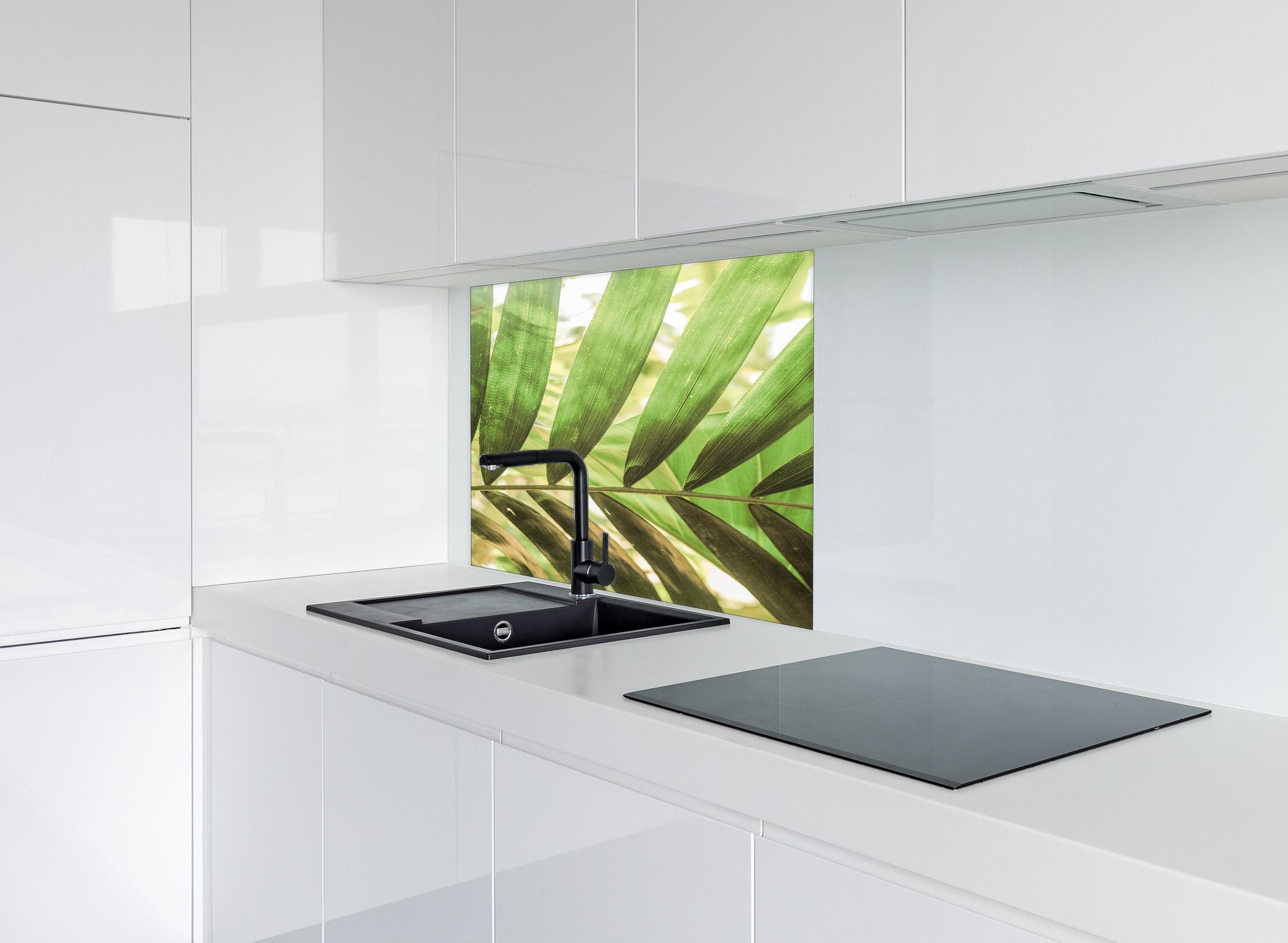 Spritzschutz - Grüne Palmenblätter in tropischem Licht hinter einem Cerankochfeld zwischen Holz-Kochutensilien
