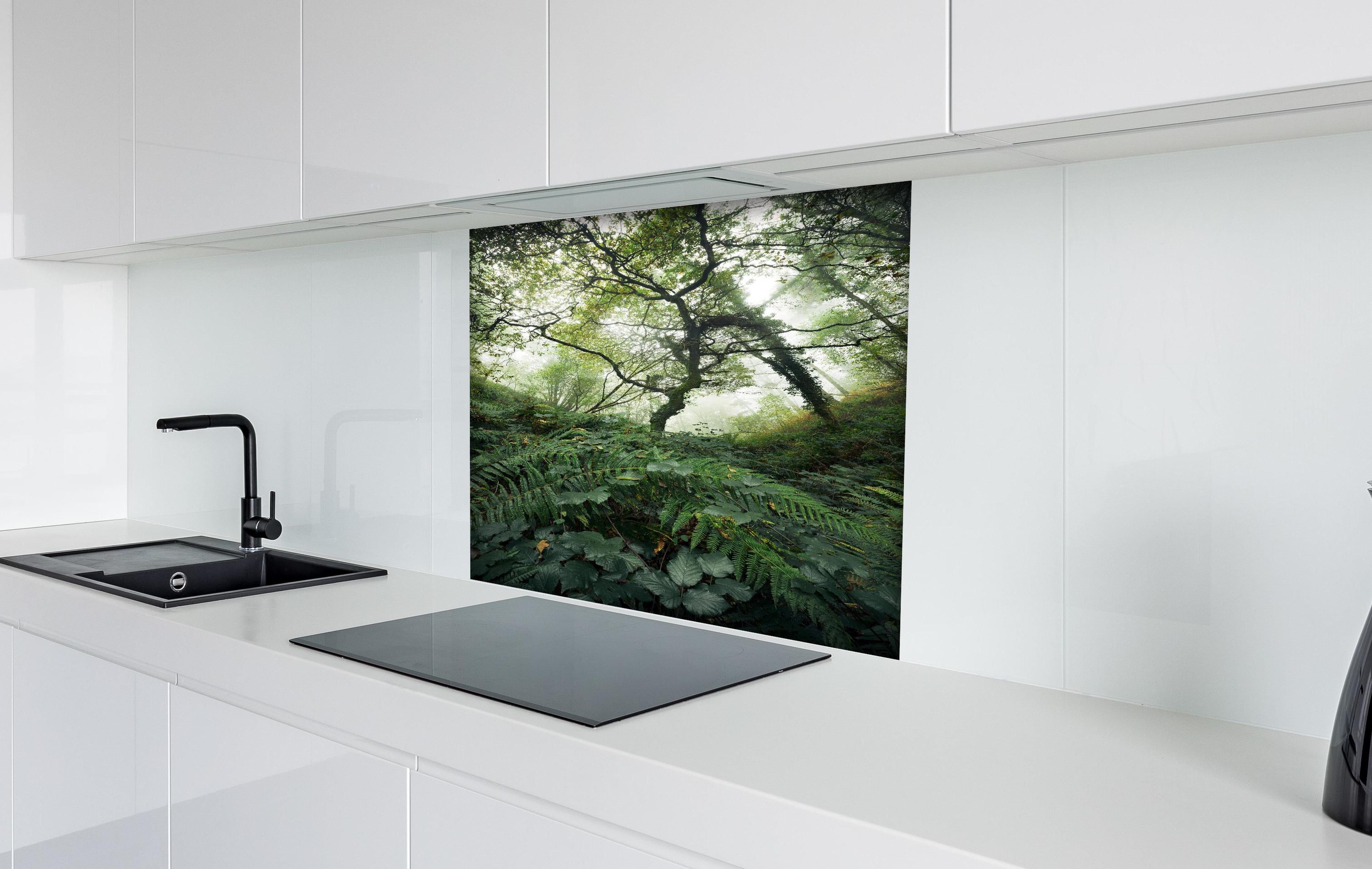 Spritzschutz - Grüner Nebelwald mit Herbstlaub hinter einem Cerankochfeld zwischen Holz-Kochutensilien
