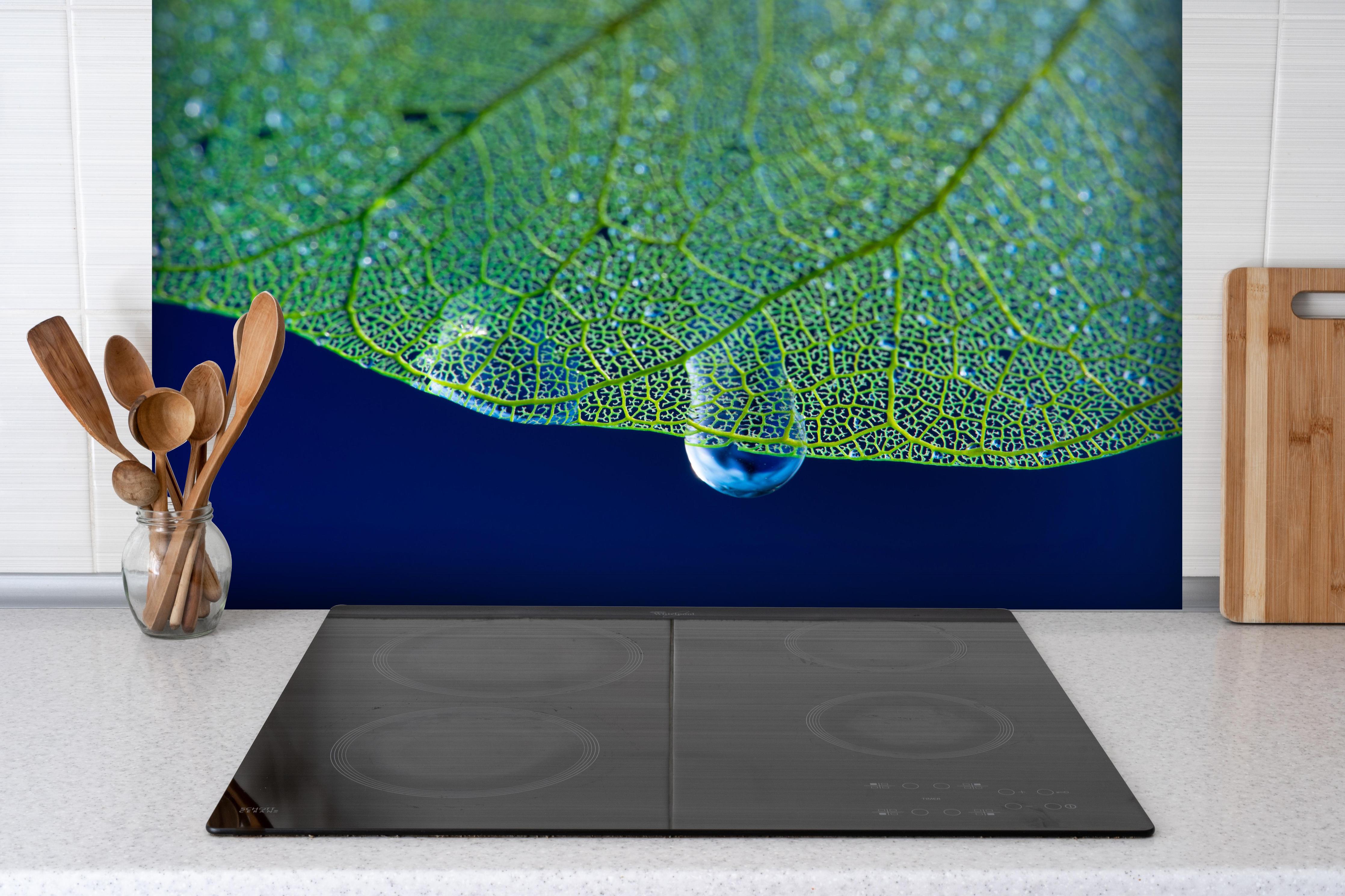 Spritzschutz - Grünes Blatt Makro mit Wassertropfen hinter einem Cerankochfeld zwischen Holz-Kochutensilien
