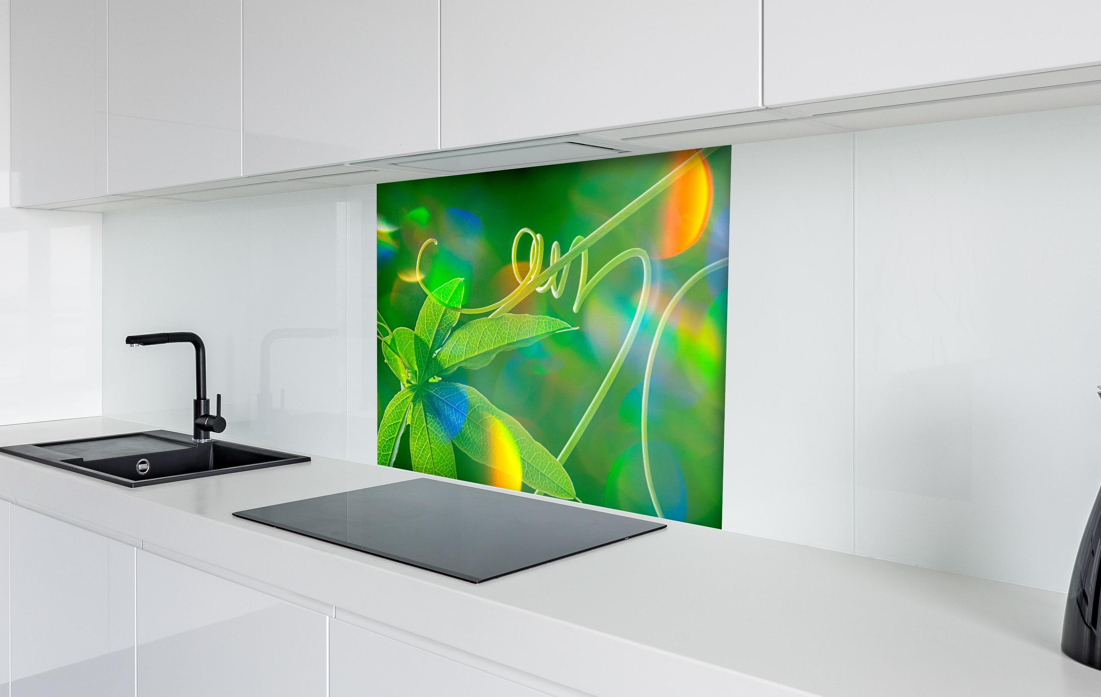 Spritzschutz - Grünes Blatt vor dunklem Hintergrund hinter einem Cerankochfeld zwischen Holz-Kochutensilien
