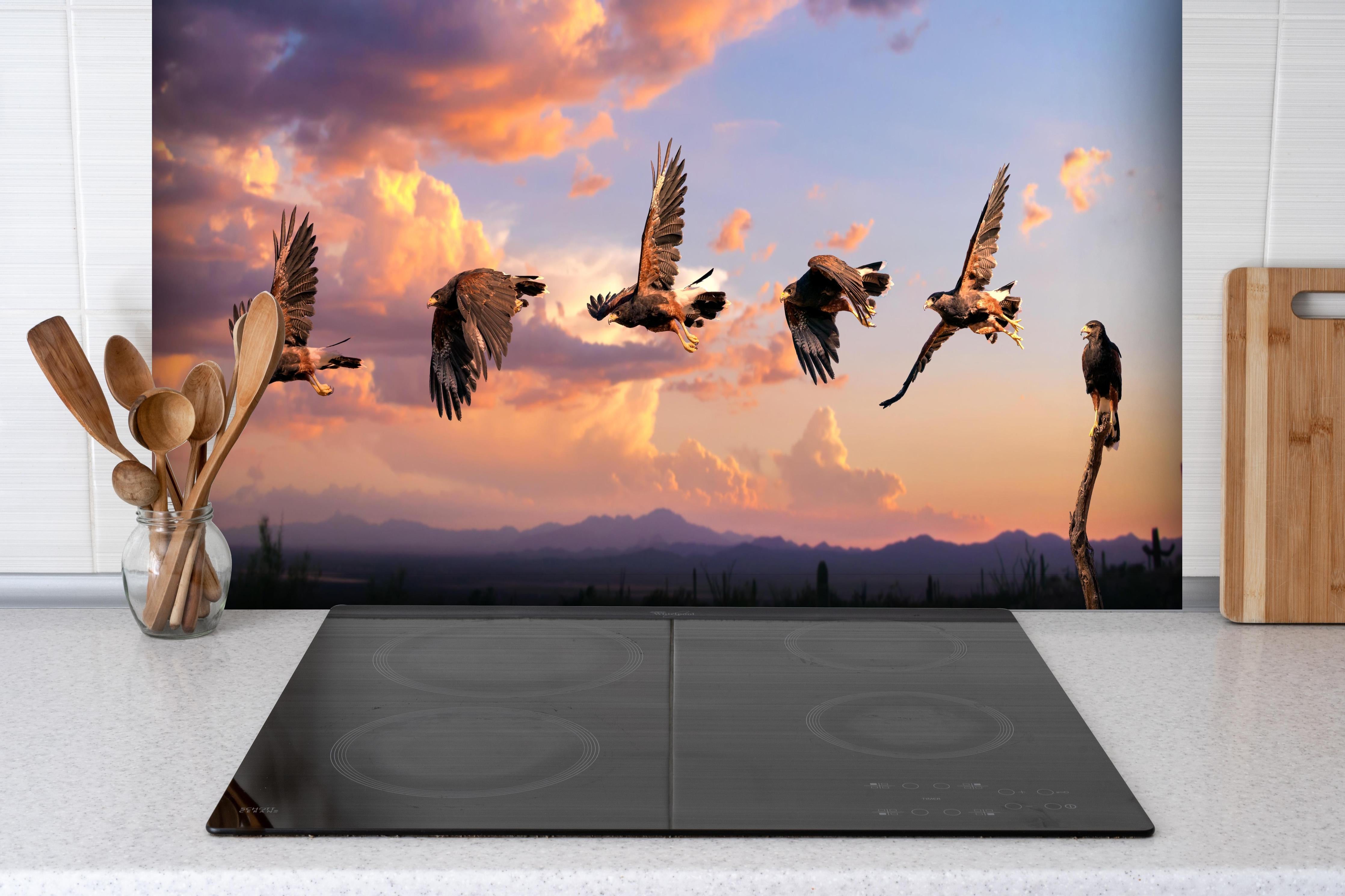 Spritzschutz - Harris Hawk Flug gegen blauen Himmel hinter einem Cerankochfeld zwischen Holz-Kochutensilien
