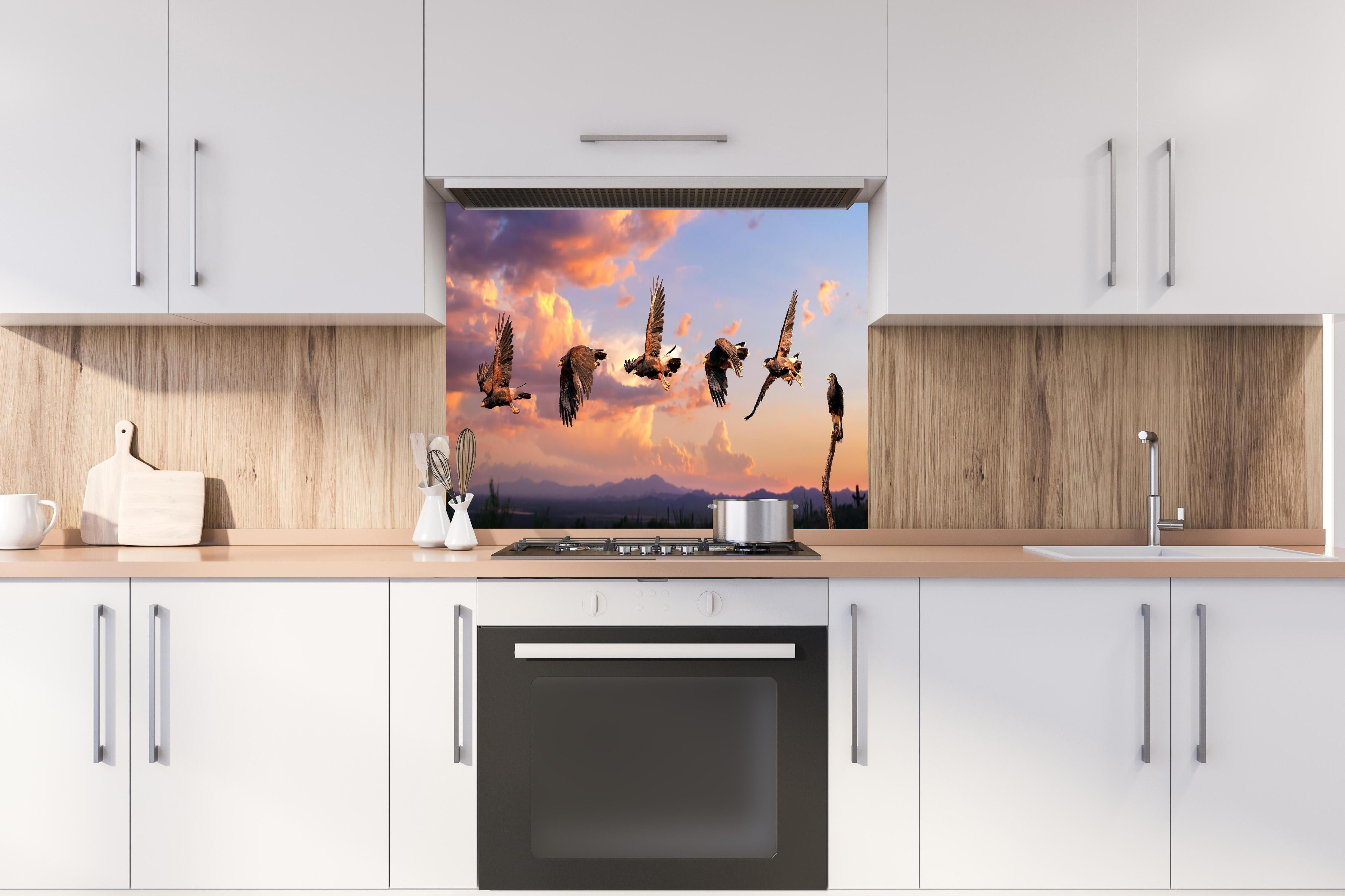 Spritzschutz - Harris Hawk Flug gegen blauen Himmel hinter einem Cerankochfeld zwischen Holz-Kochutensilien
