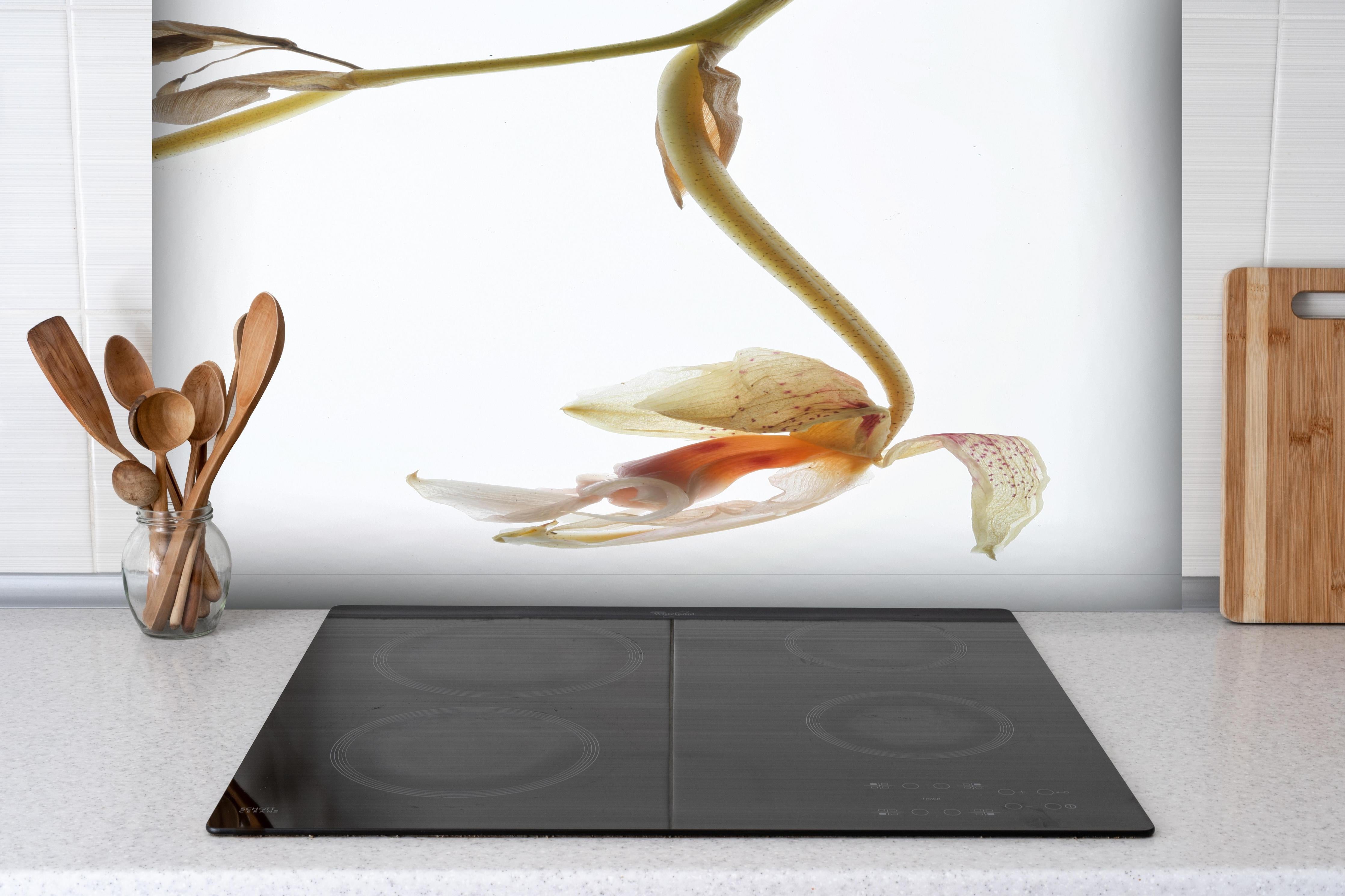 Spritzschutz - Helle Blume - Nahaufnahme hinter einem Cerankochfeld zwischen Holz-Kochutensilien
