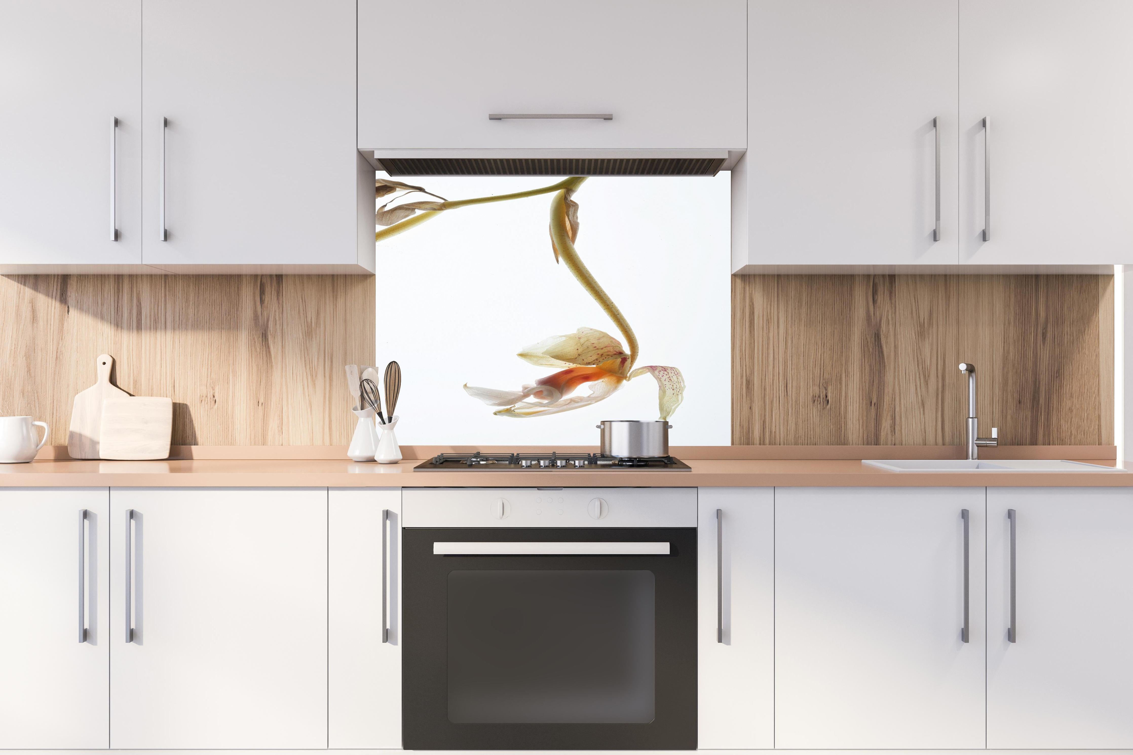 Spritzschutz - Helle Blume - Nahaufnahme hinter einem Cerankochfeld zwischen Holz-Kochutensilien
