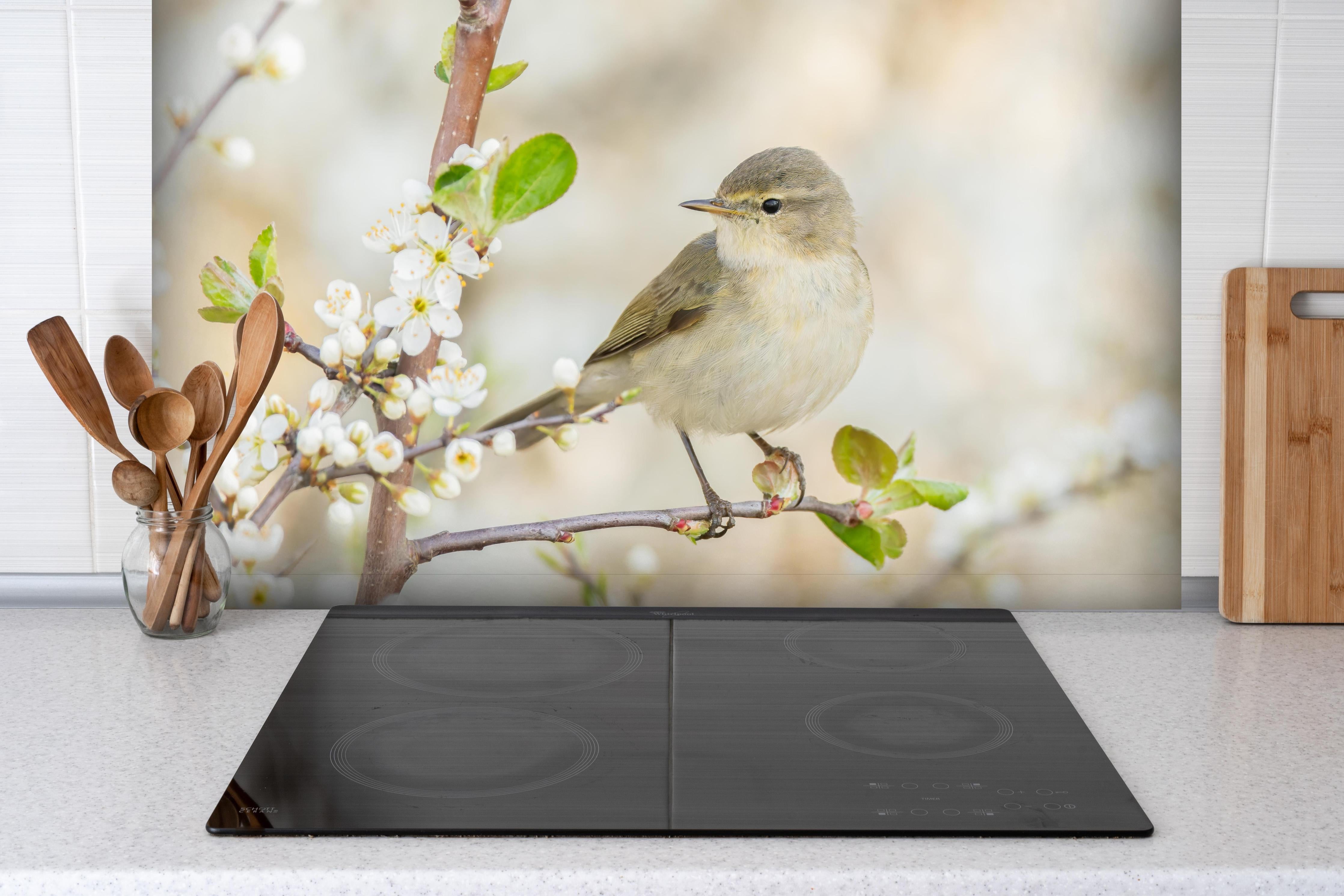Spritzschutz - Kleiner Vogel am Baumzweig hinter einem Cerankochfeld zwischen Holz-Kochutensilien
