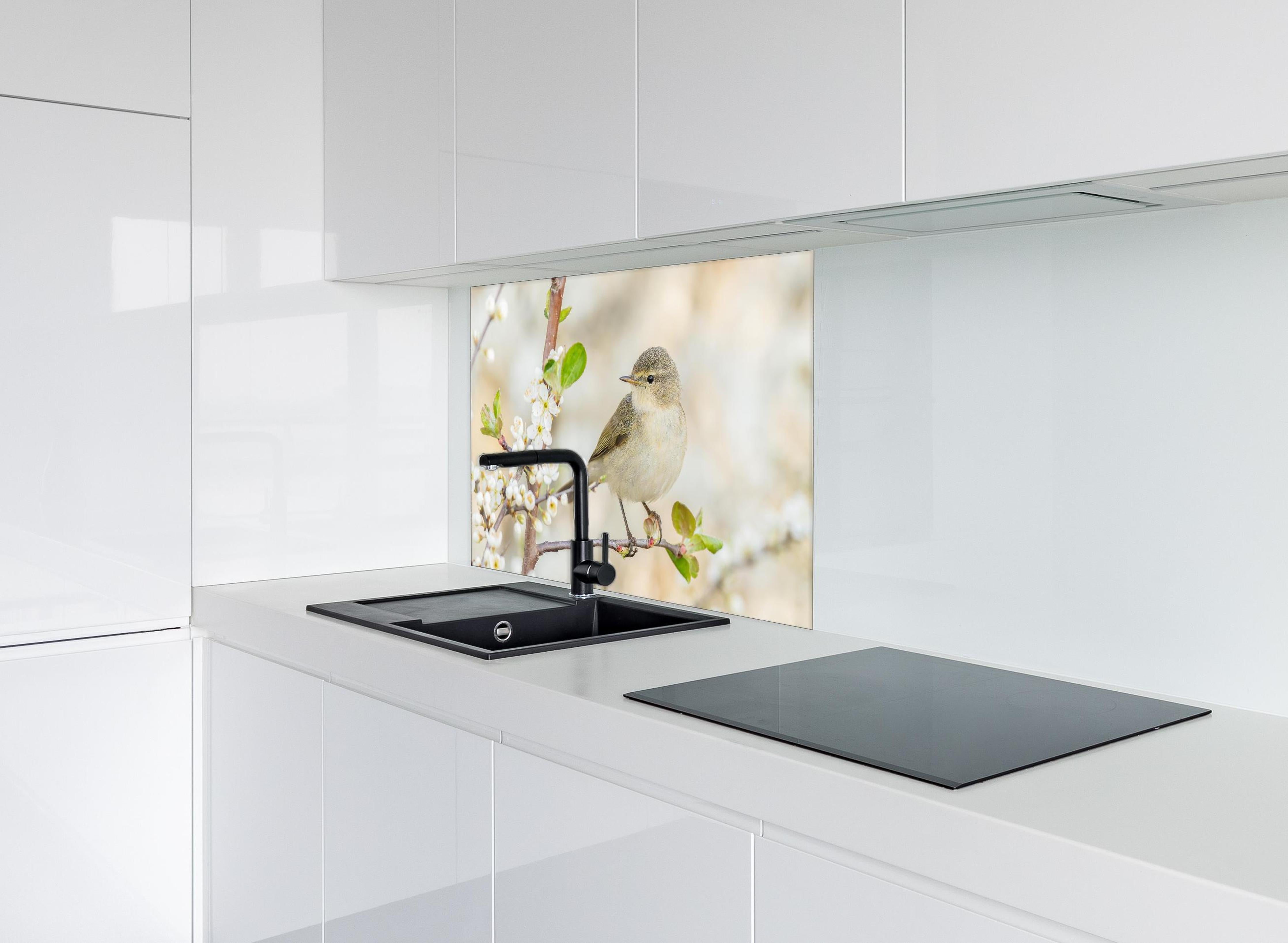 Spritzschutz - Kleiner Vogel am Baumzweig hinter einem Cerankochfeld zwischen Holz-Kochutensilien
